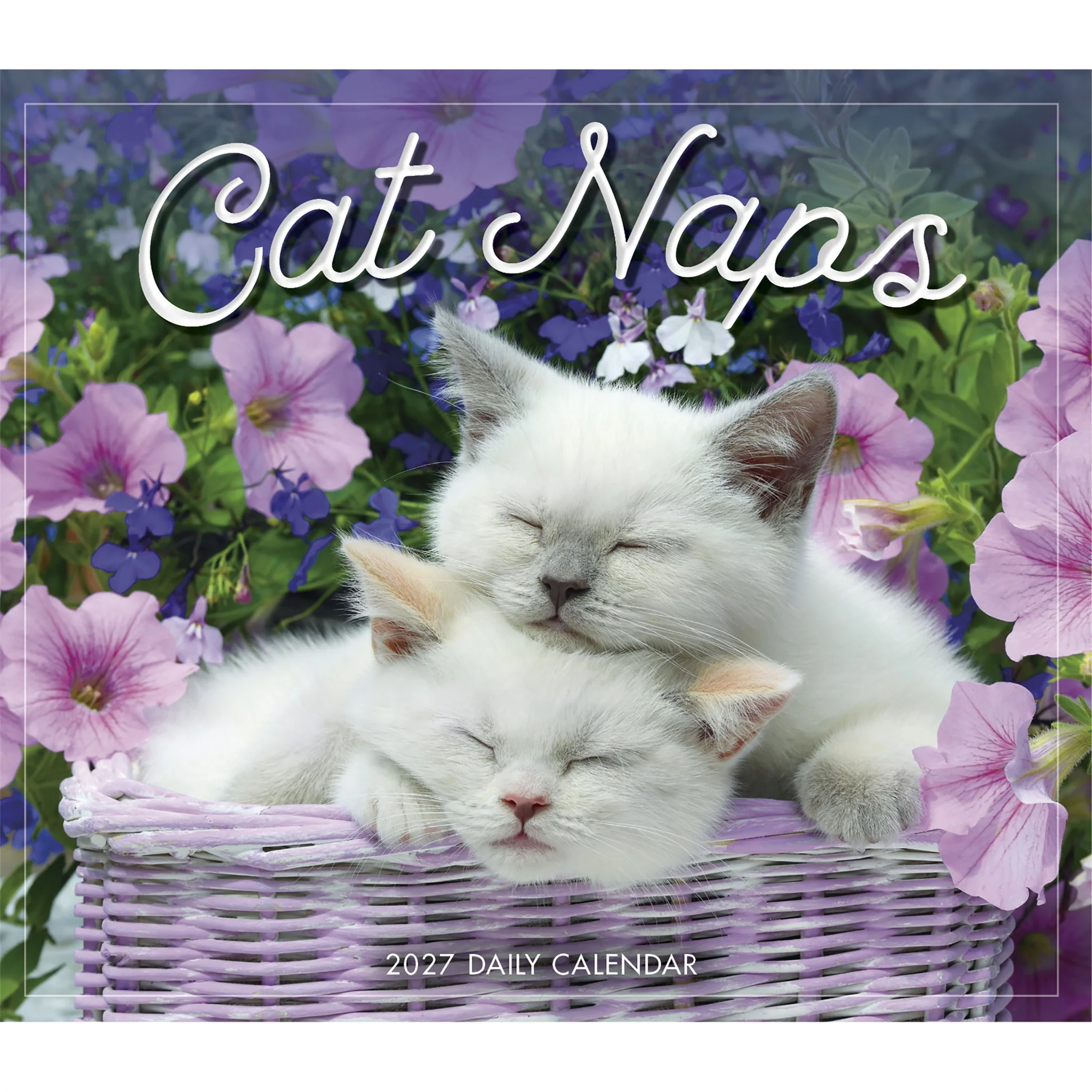 Cat Naps 2027 Box Calendar