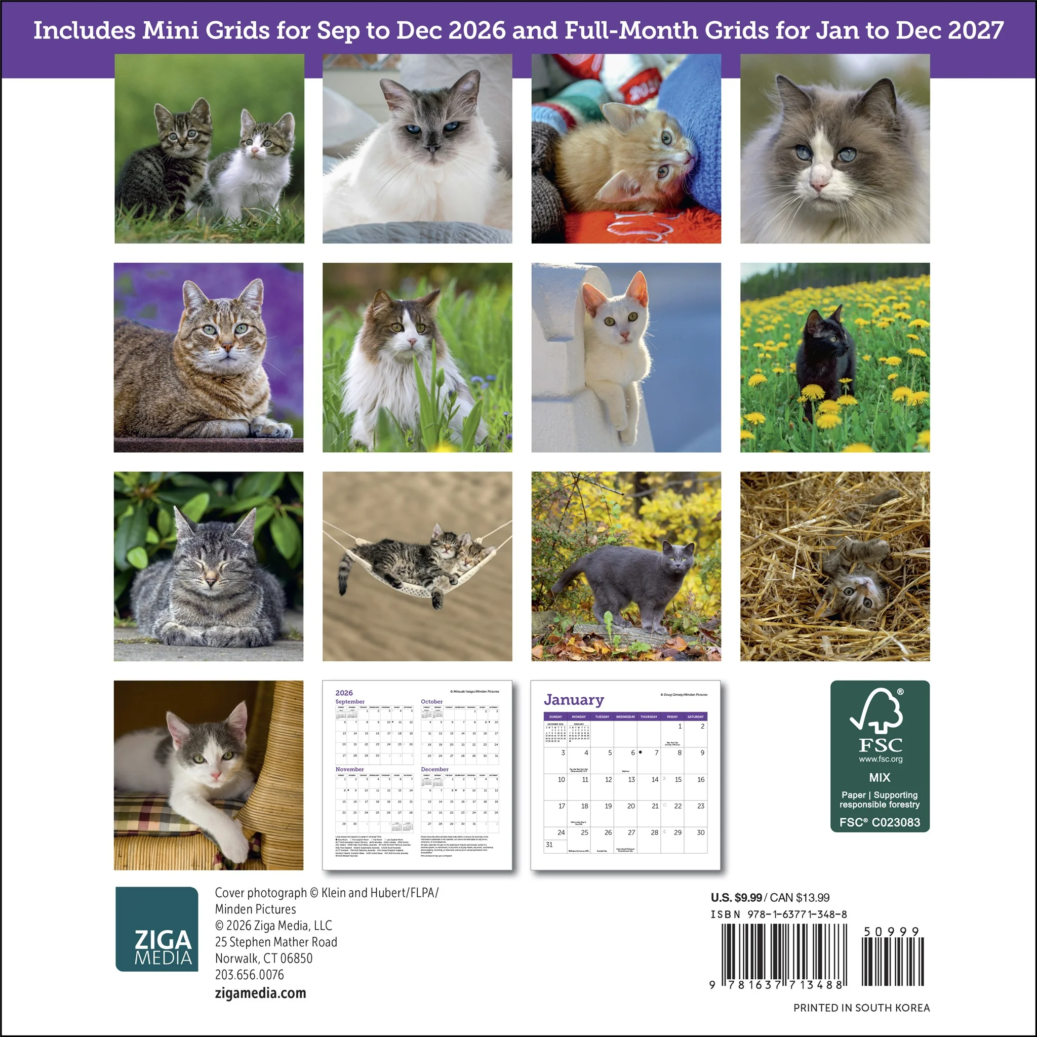 Cats 2027 Mini Calendar - Image 2
