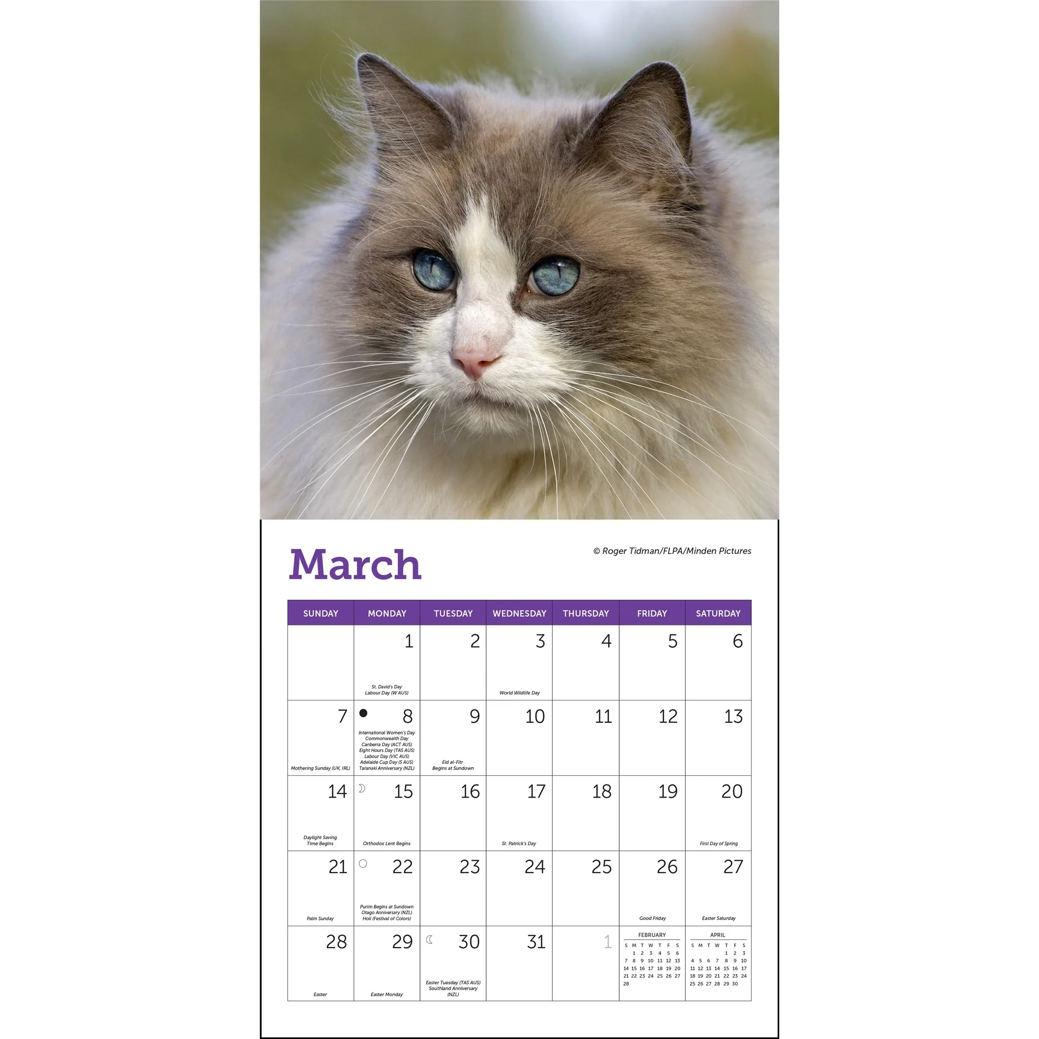 Cats 2027 Mini Calendar - Image 3