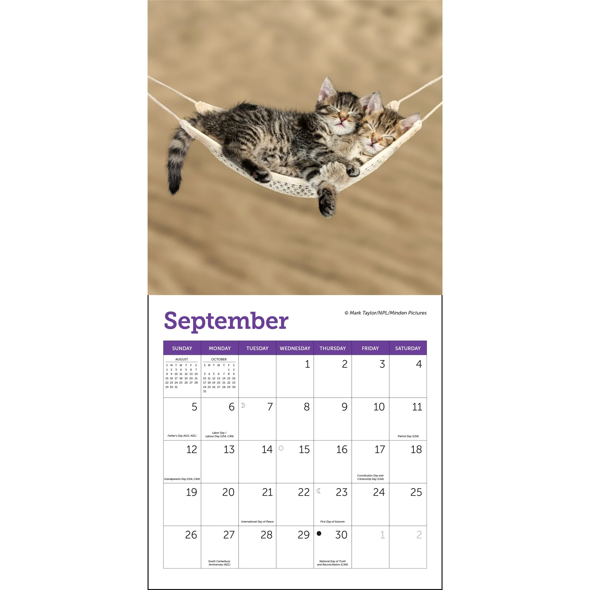 Cats 2027 Mini Calendar - Image 4