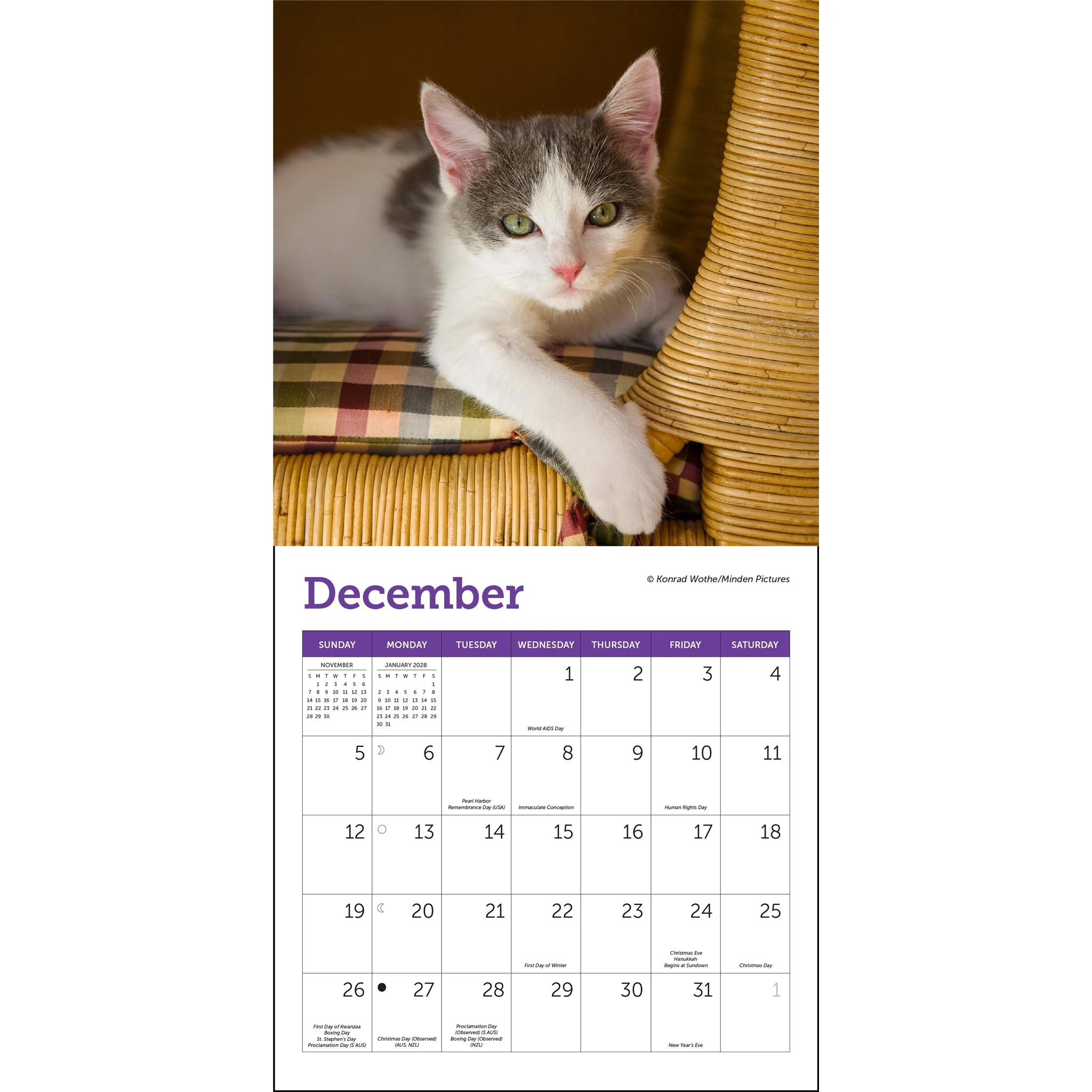 Cats 2027 Mini Calendar - Image 5
