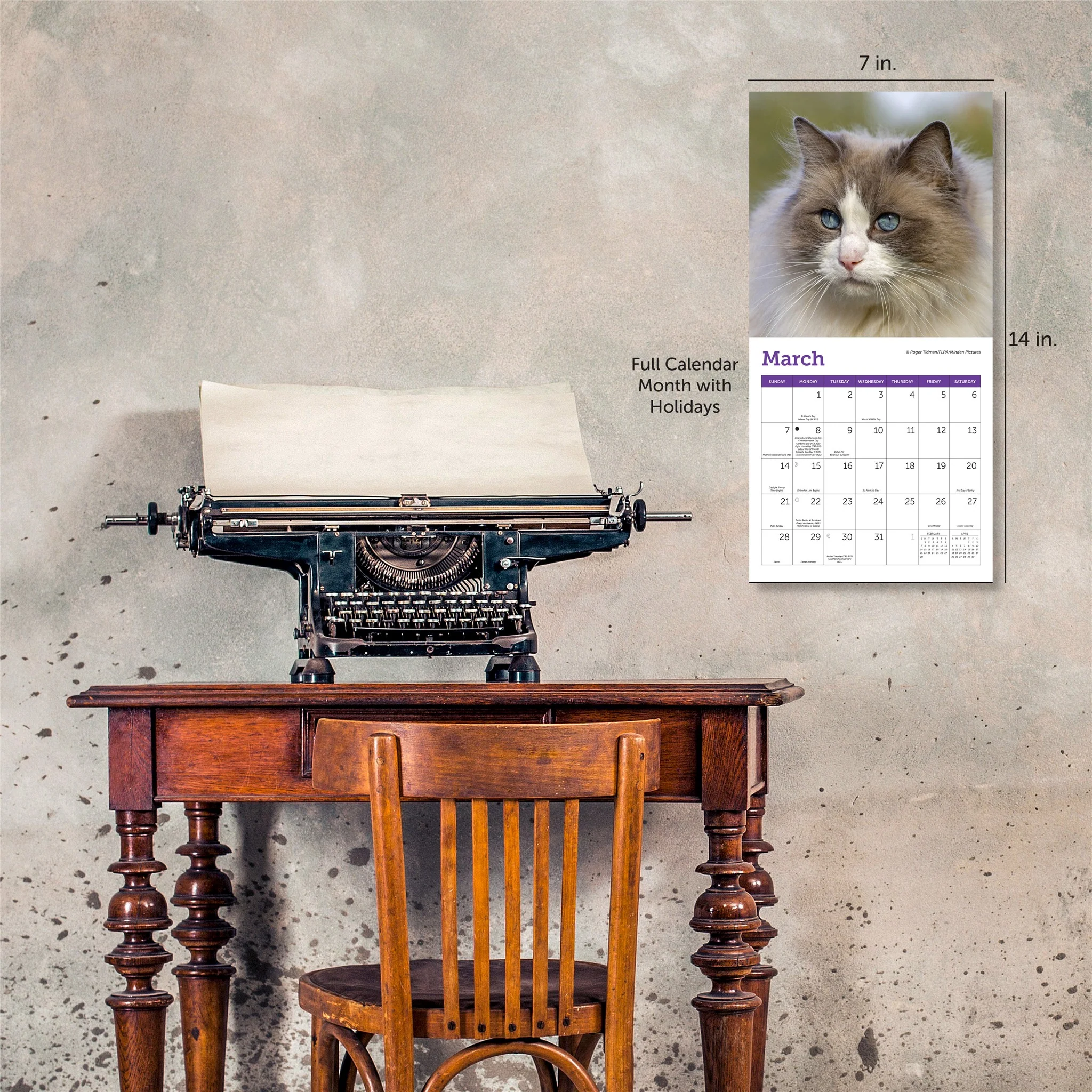 Cats 2027 Mini Calendar - Image 6