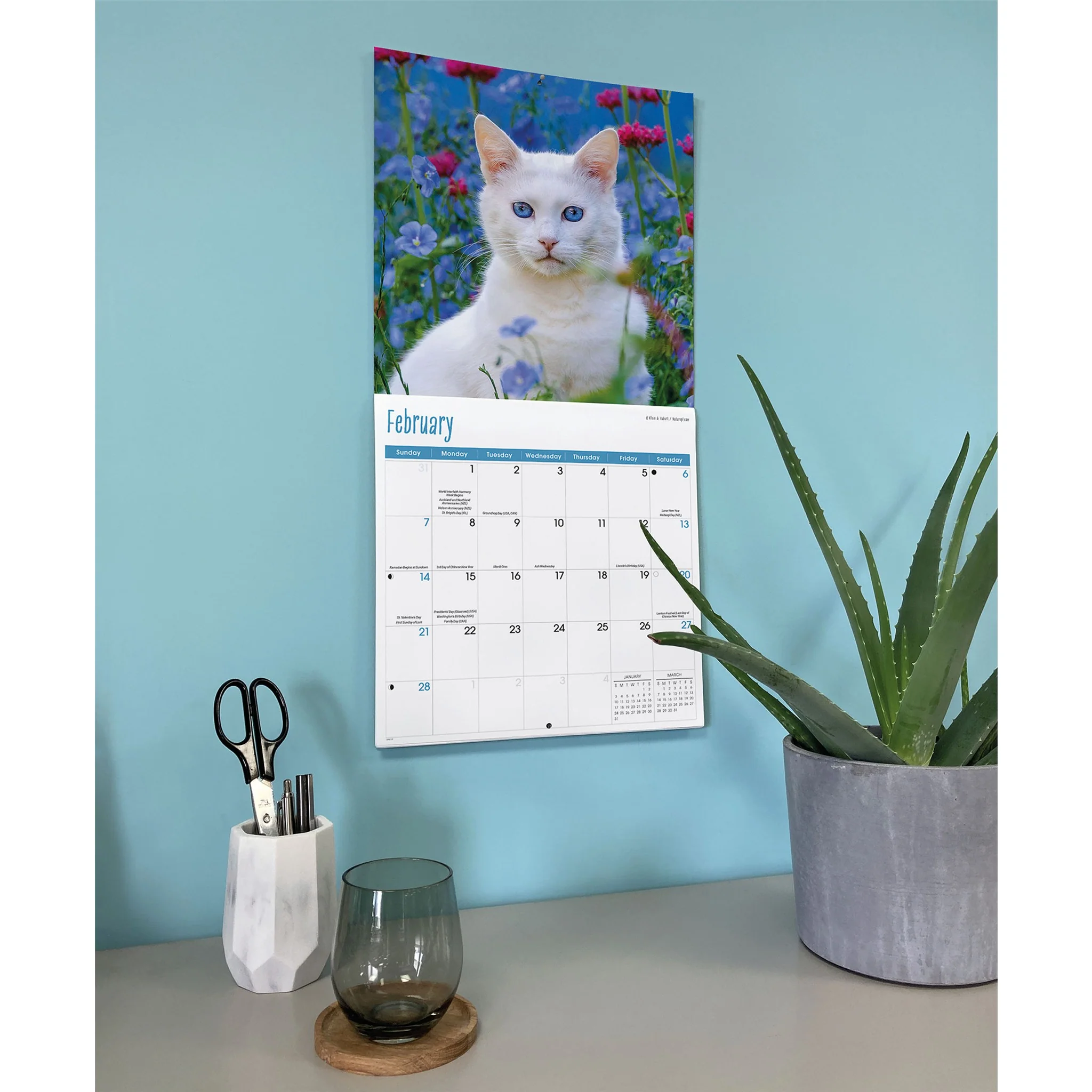 Cats 2027 Wall Calendar - Image 6