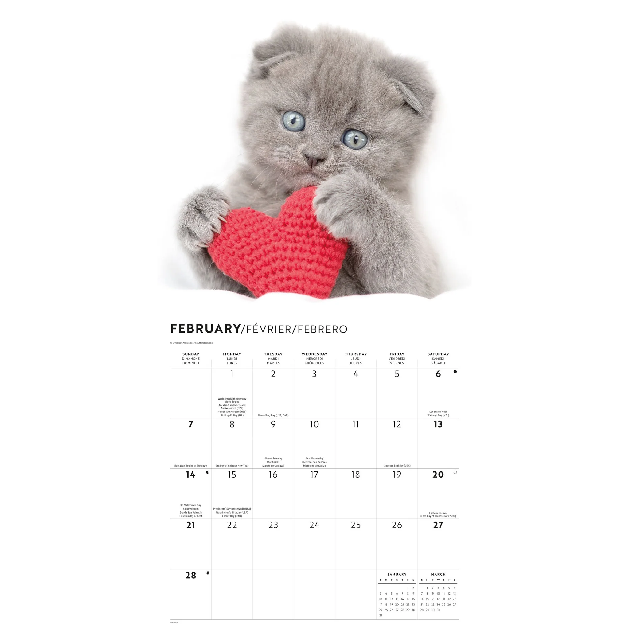 Cats 2027 Wall Calendar - Image 3