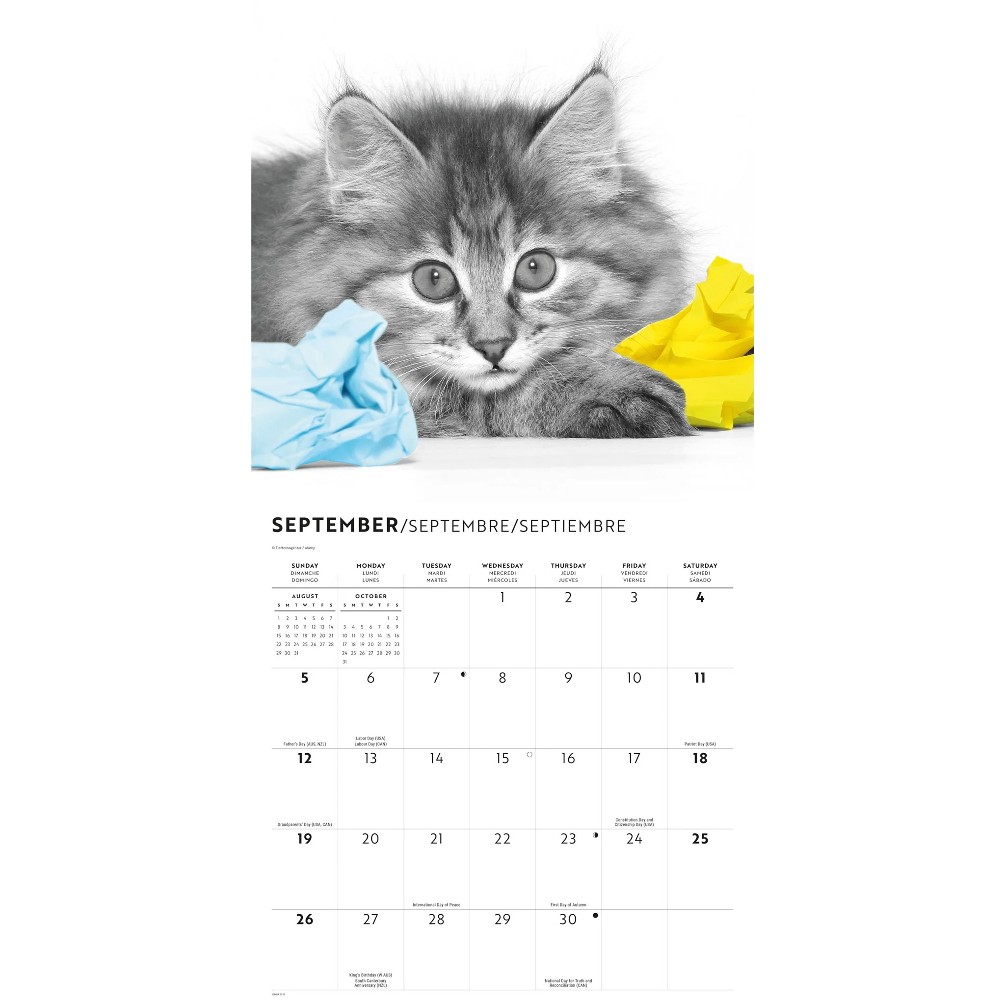 Cats 2027 Wall Calendar - Image 5