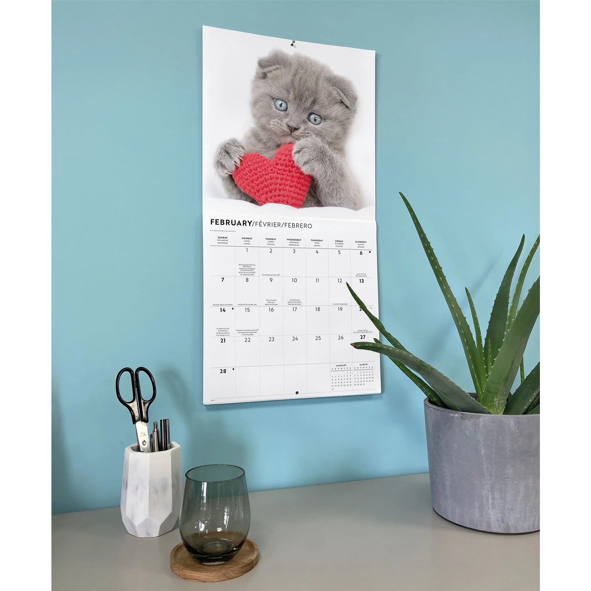 Cats 2027 Wall Calendar - Image 6