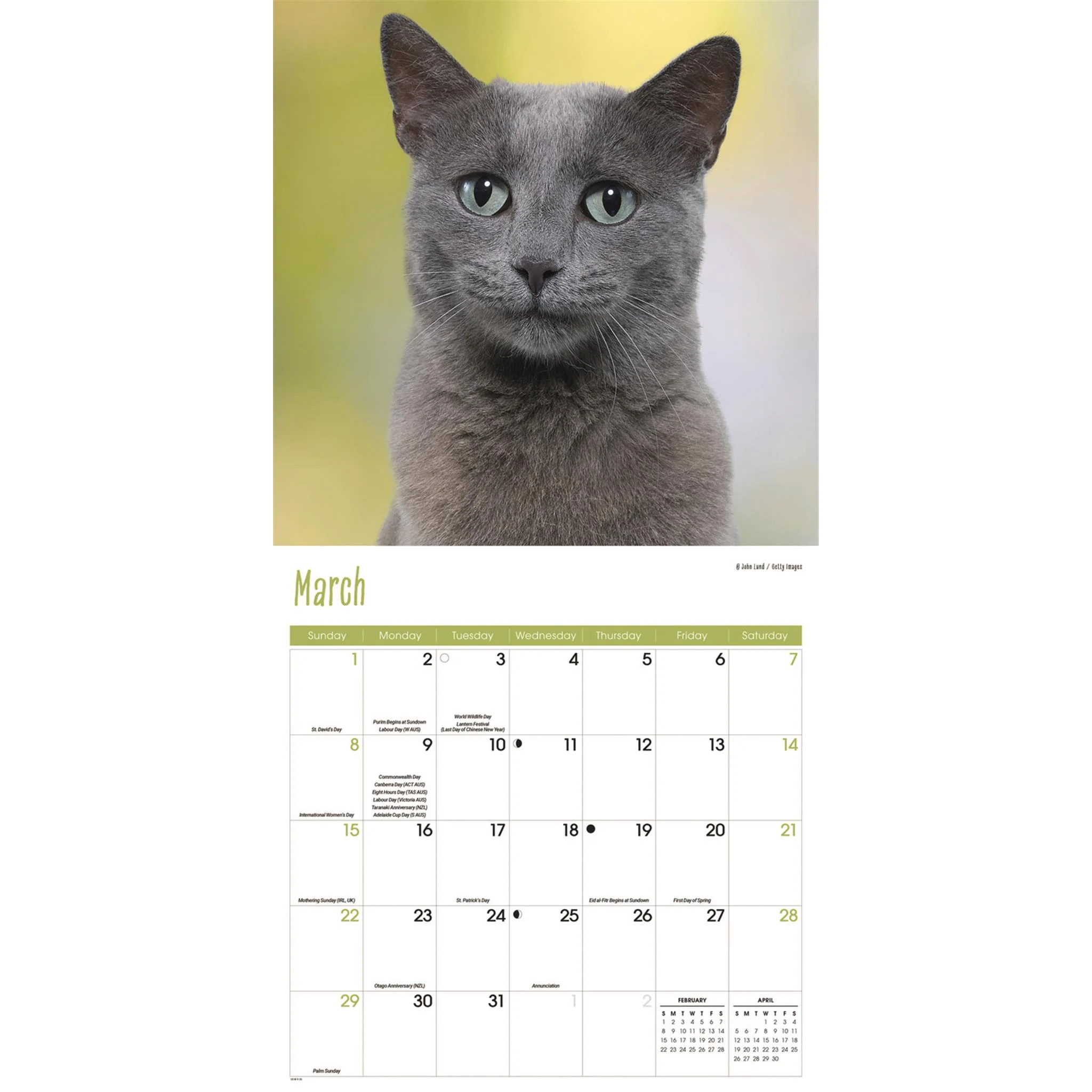 Cats Wall  2026 Calendar - Image 3