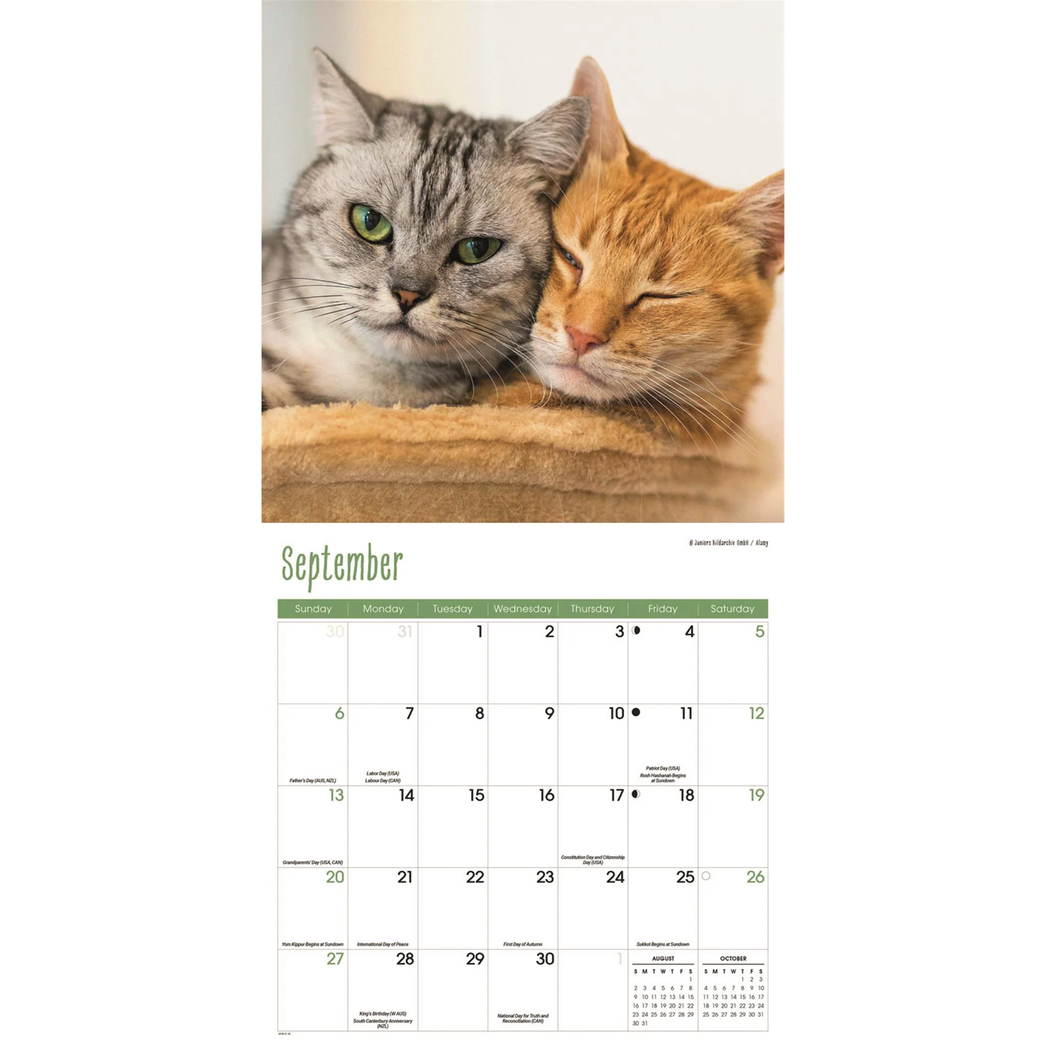 Cats Wall  2026 Calendar - Image 5