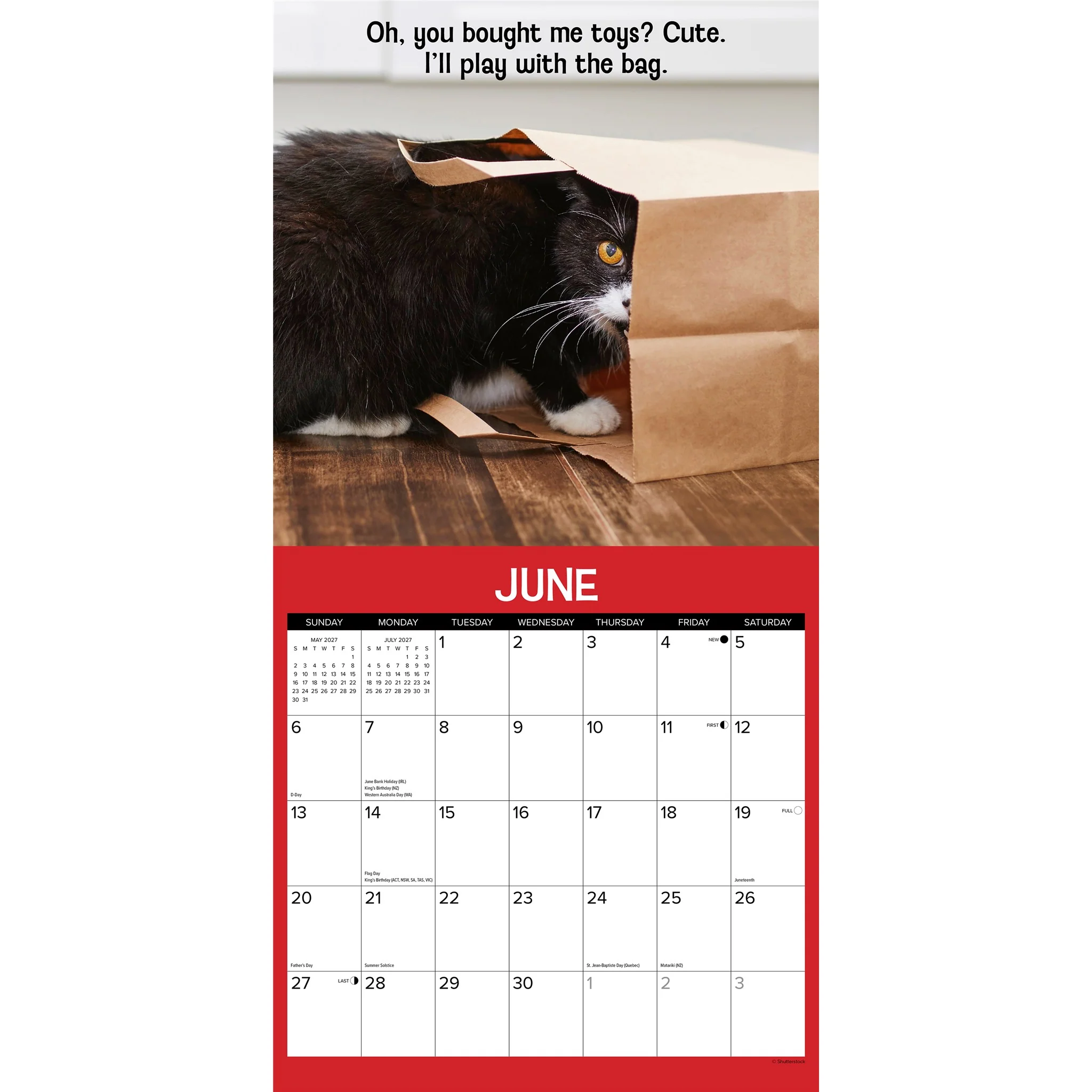 Cattitudes 2027 Wall Calendar - Image 3