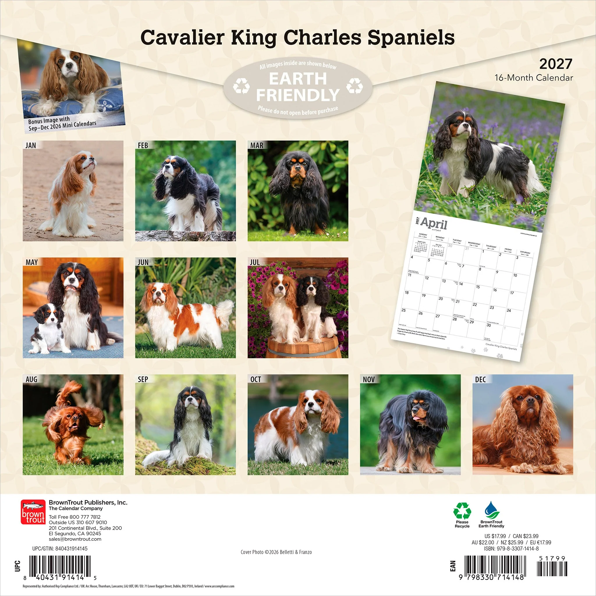 Cavalier King Charles Spaniels 2027 Wall Calendar - Image 2