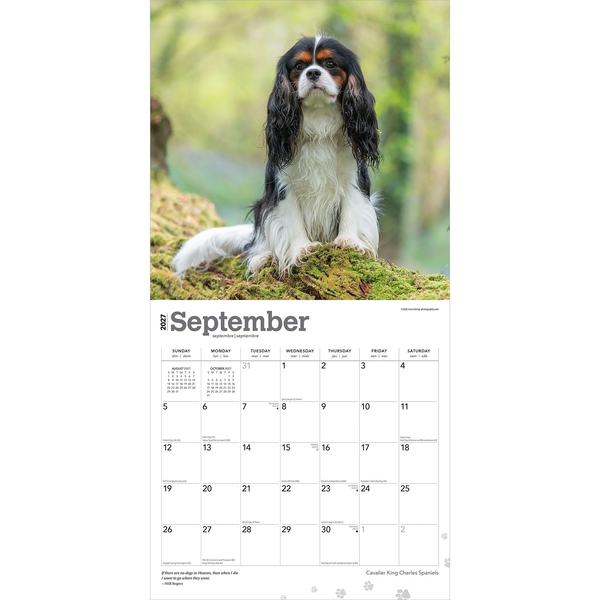 Cavalier King Charles Spaniels 2027 Wall Calendar - Image 4