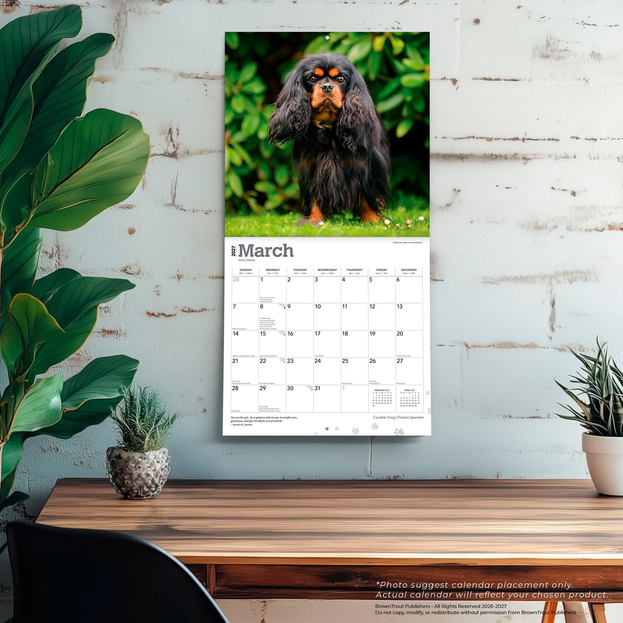 Cavalier King Charles Spaniels 2027 Wall Calendar - Image 5