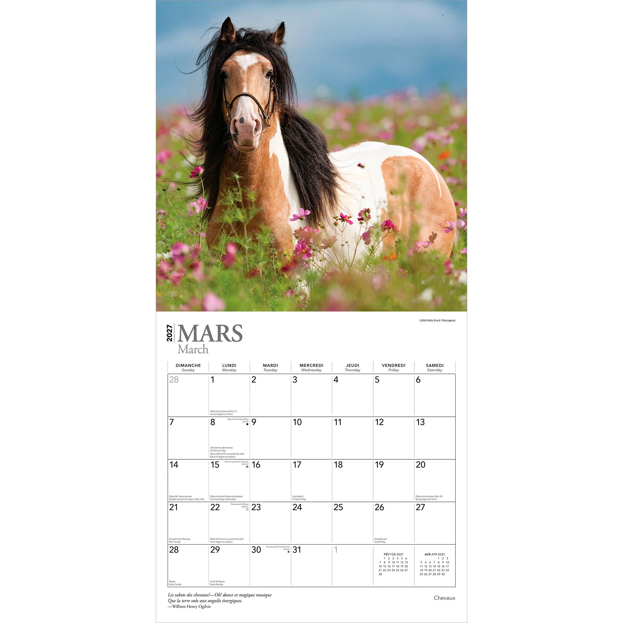 Chevaux 2027 Wall Calendar (French) - Image 3