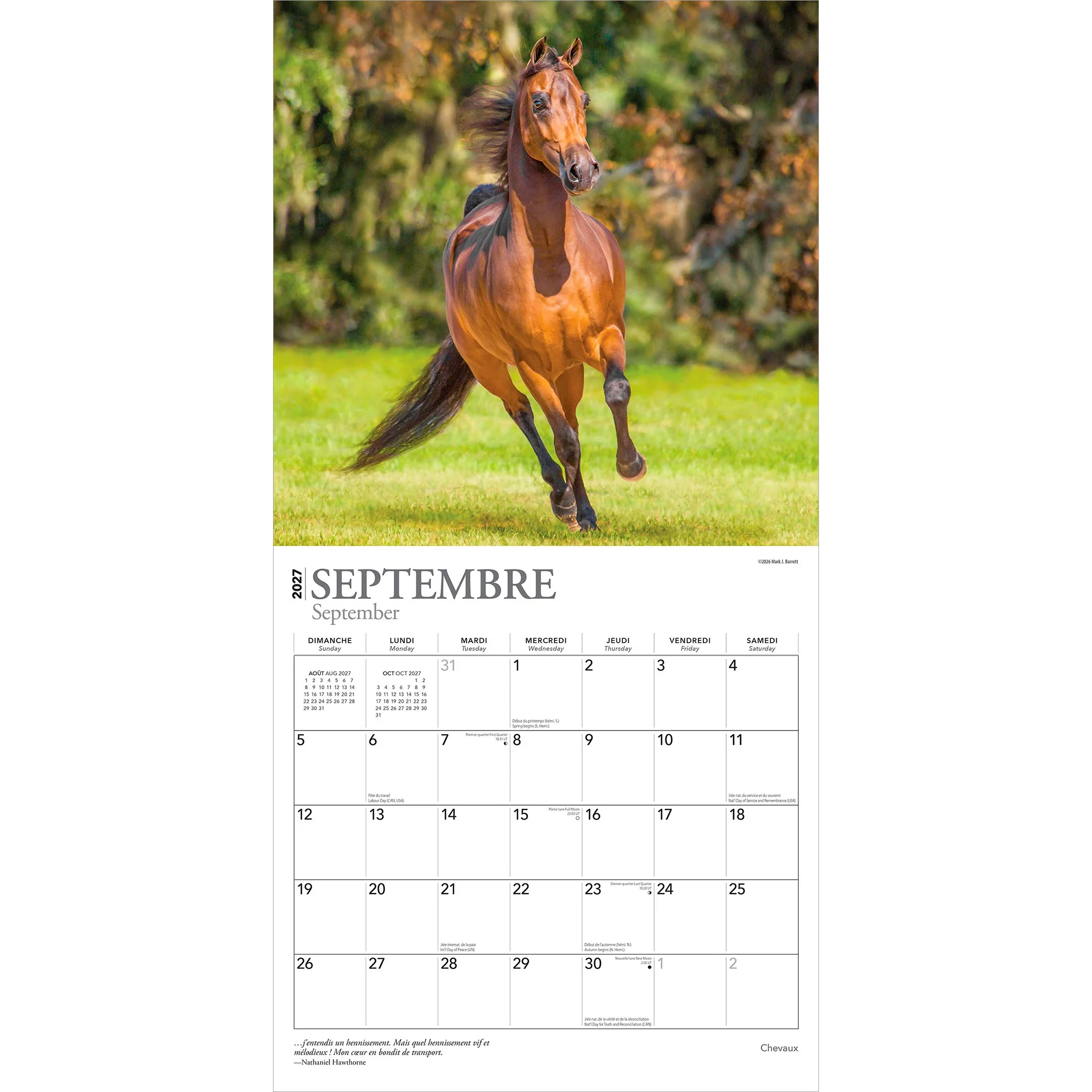 Chevaux 2027 Wall Calendar (French) - Image 4