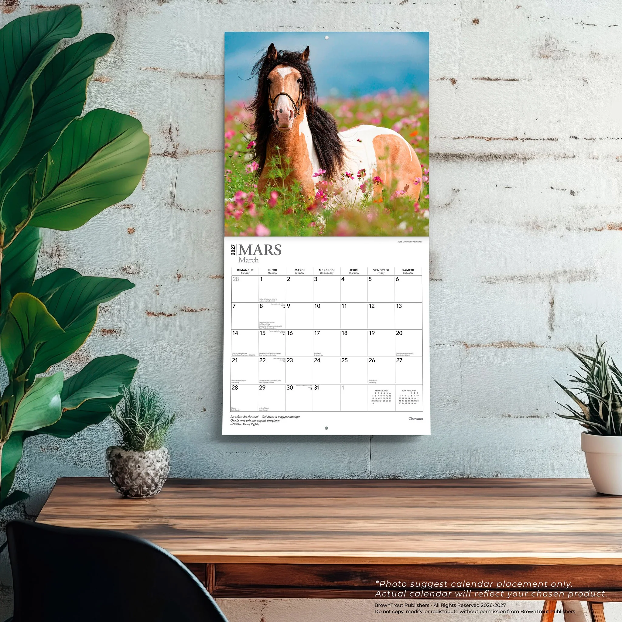 Chevaux 2027 Wall Calendar (French) - Image 5