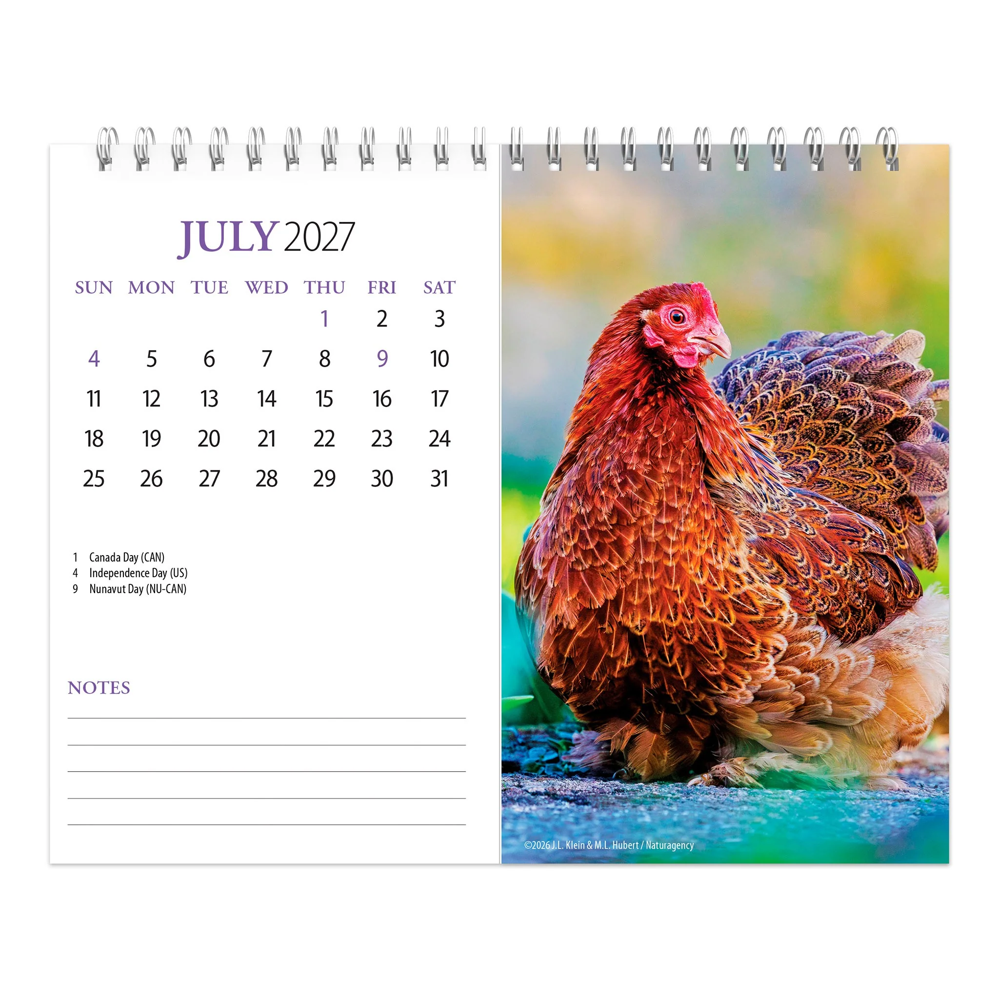 Chickens Double-View 2027 Easel Calendar - Online Only - Image 4