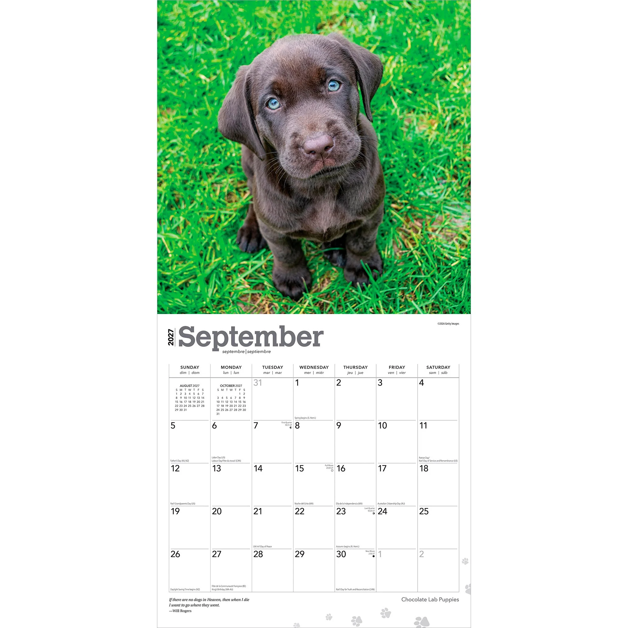 Chocolate Lab Puppies 2027 Wall Calendar - Image 4