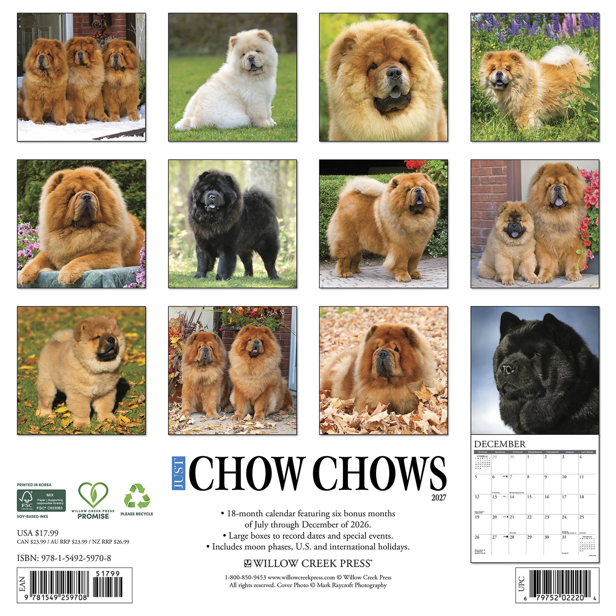 Chow Chows 2027 Wall Calendar - Image 2