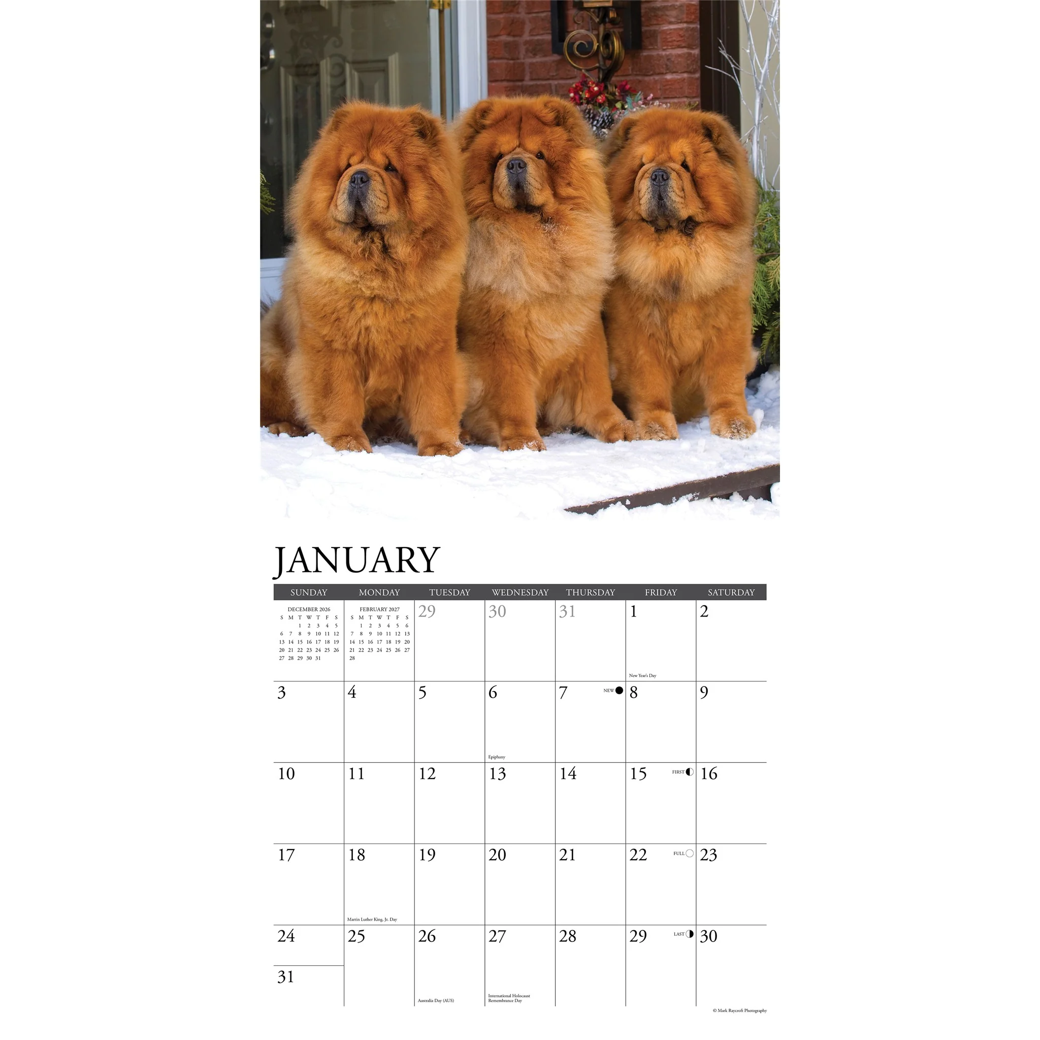 Chow Chows 2027 Wall Calendar - Image 3