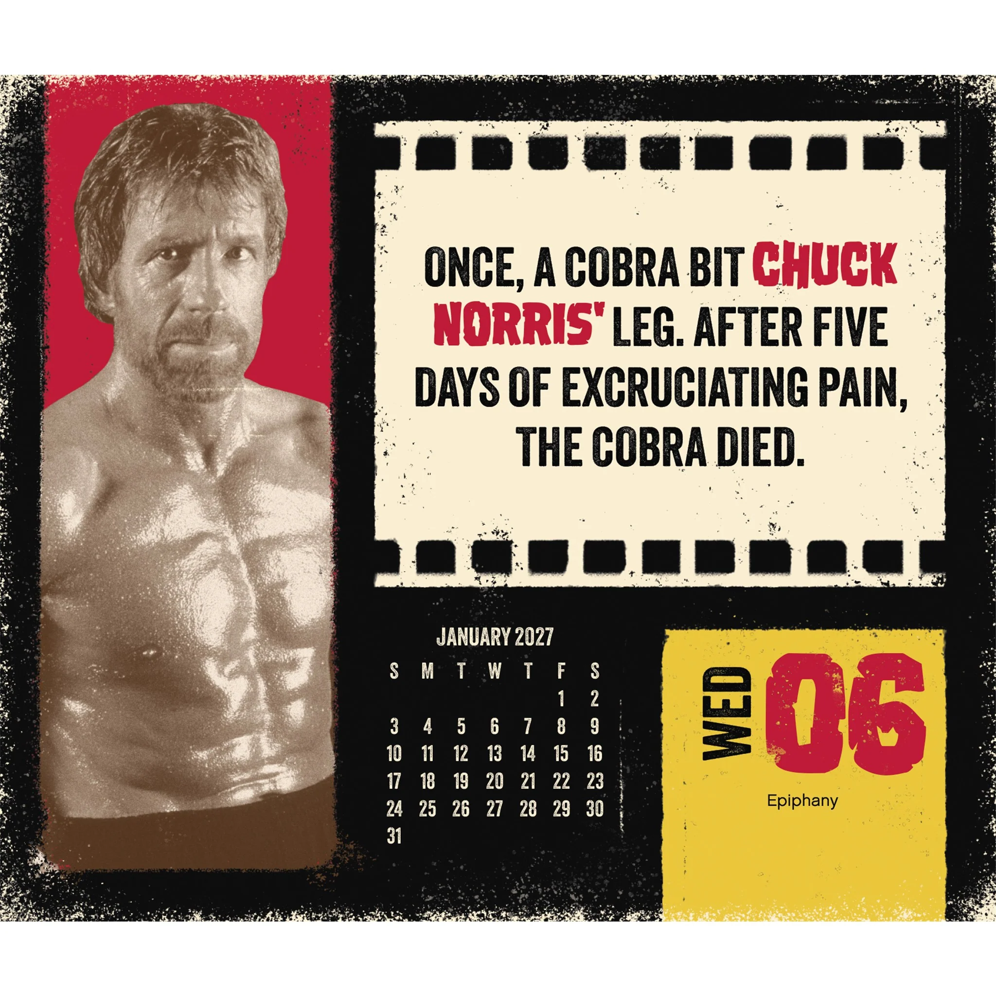Chuck Norris 2027 Box Calendar - Image 5