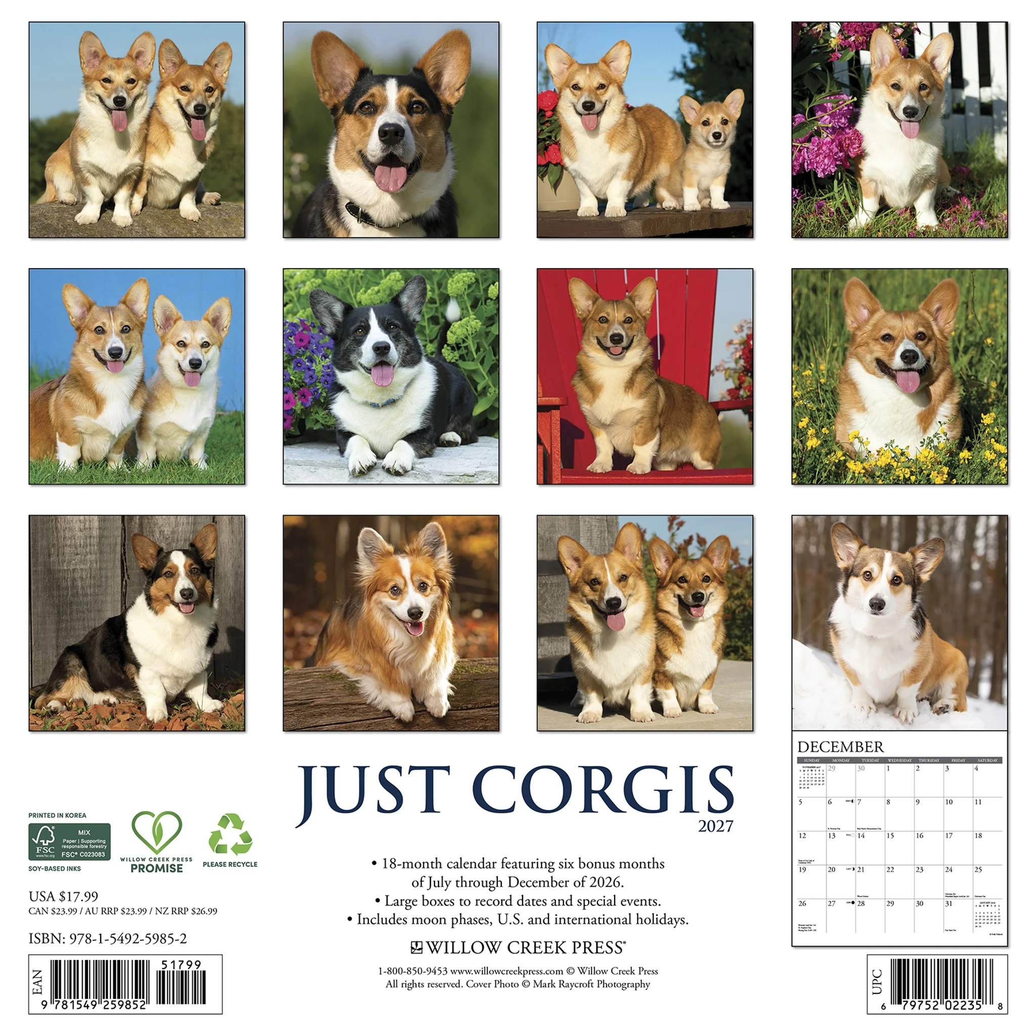 Corgis 2027 Wall Calendar - Image 2