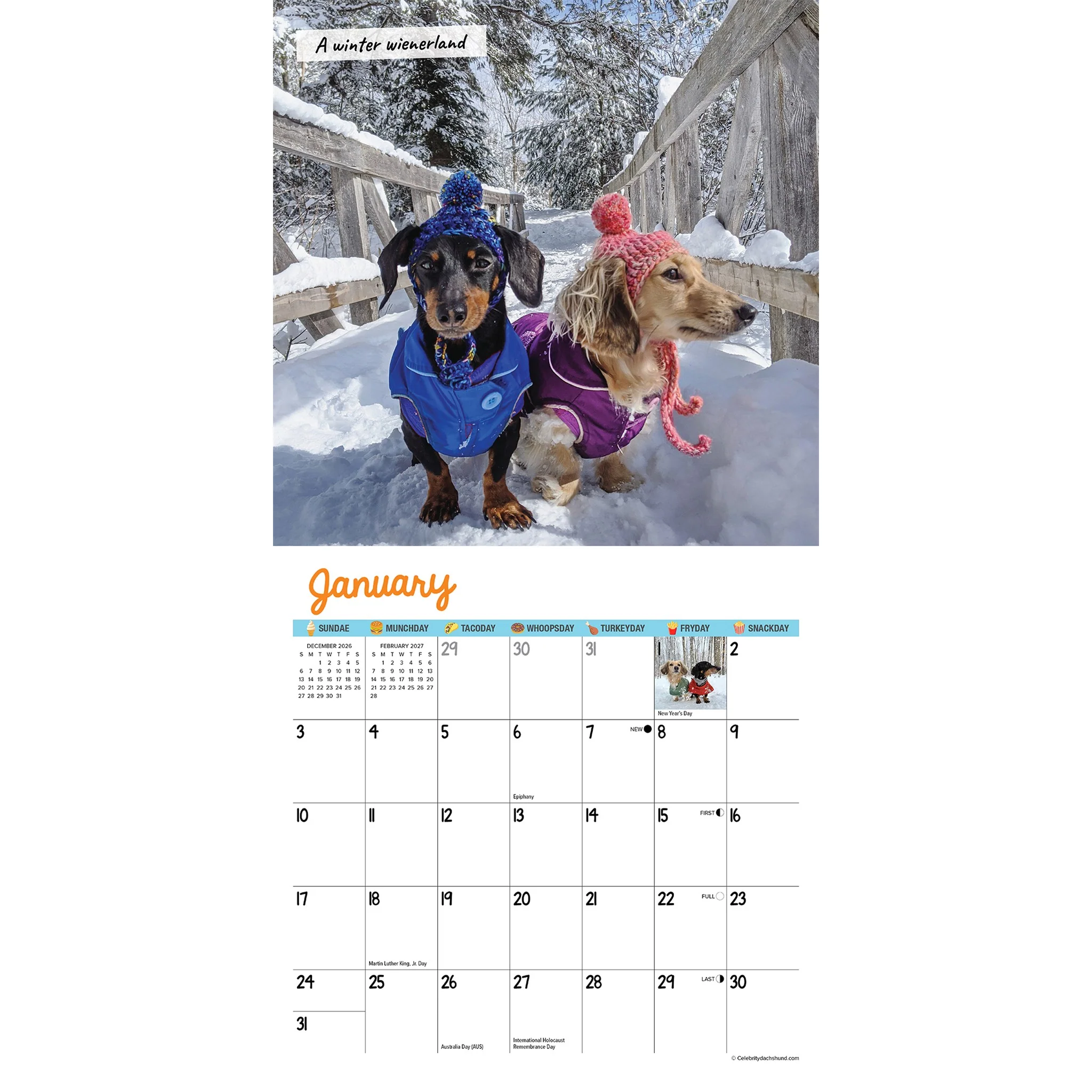 Crusoe the Celebrity Dachshund 2027 Mini Calendar - Image 3