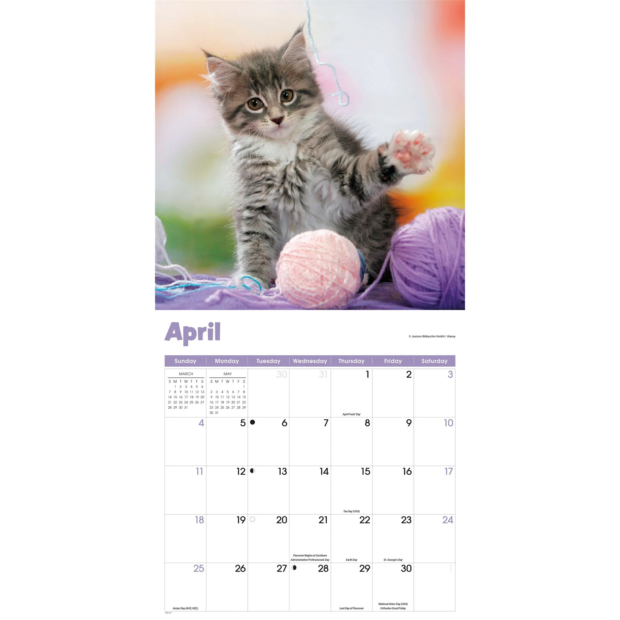 Curious Kittens 2027 Wall Calendar - Image 3