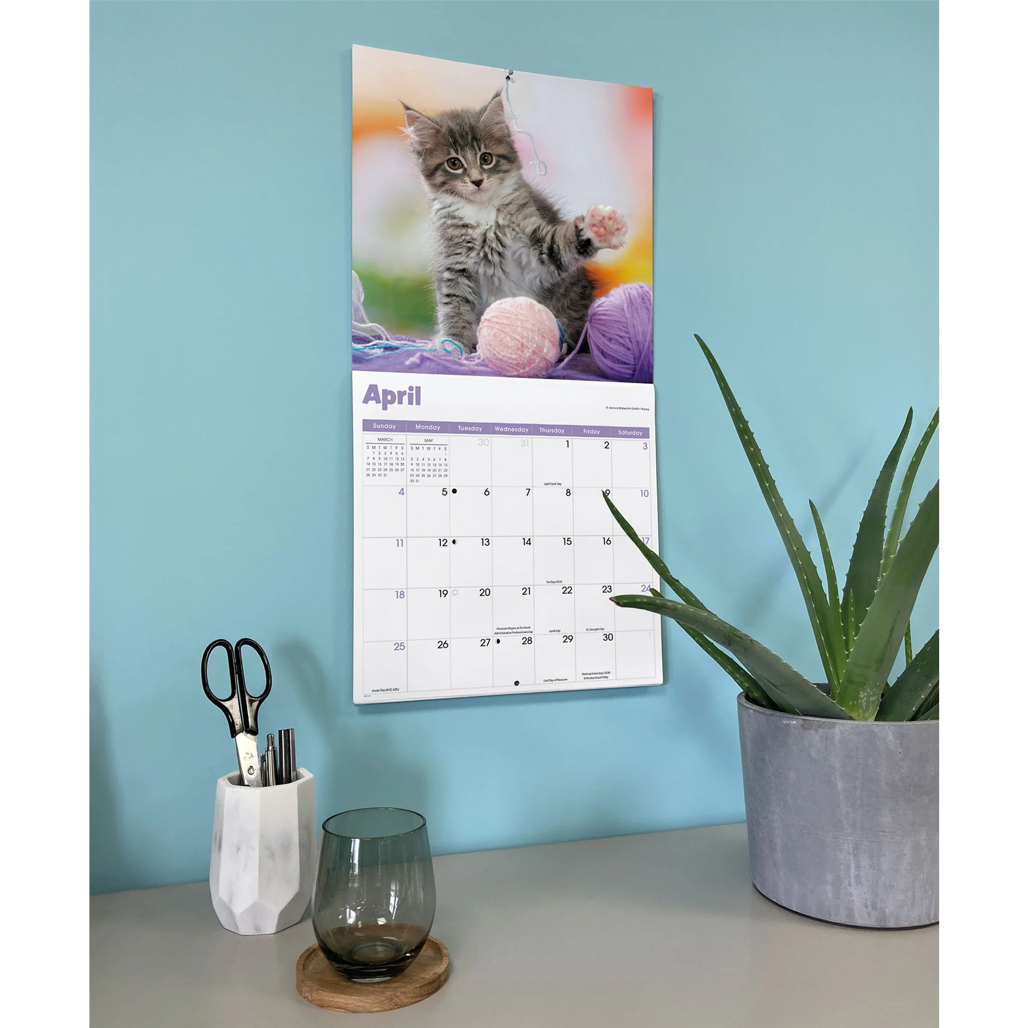 Curious Kittens 2027 Wall Calendar - Image 6