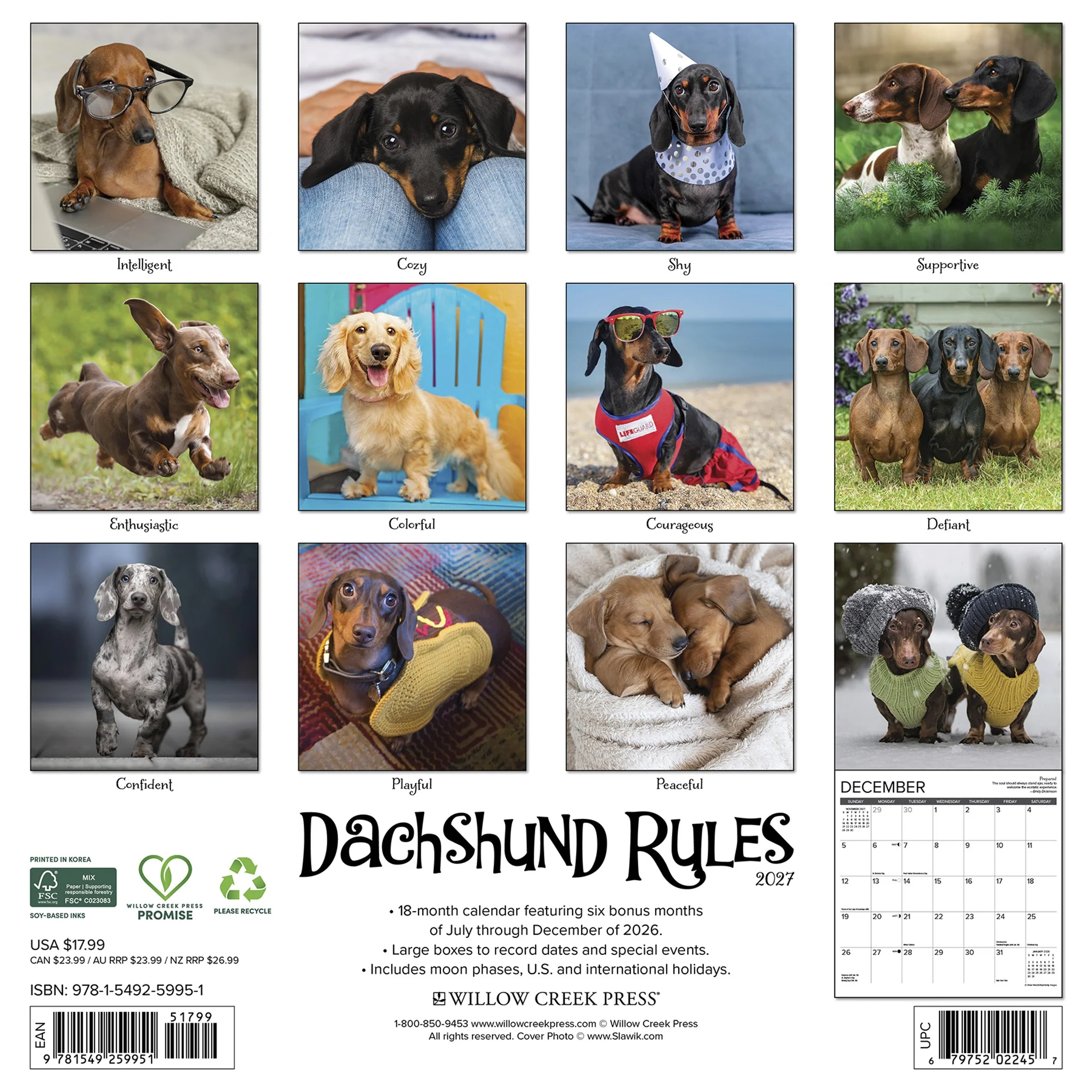 Dachshund Rules 2027 Wall Calendar - Image 2