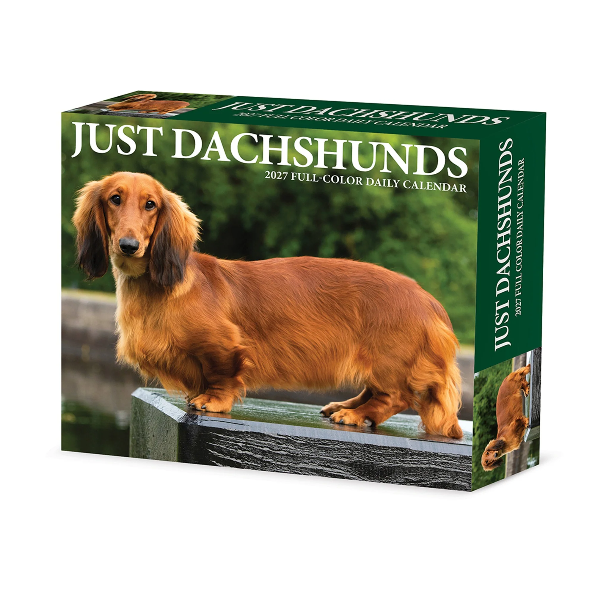 Dachshunds 2027 Box Calendar - Image 5