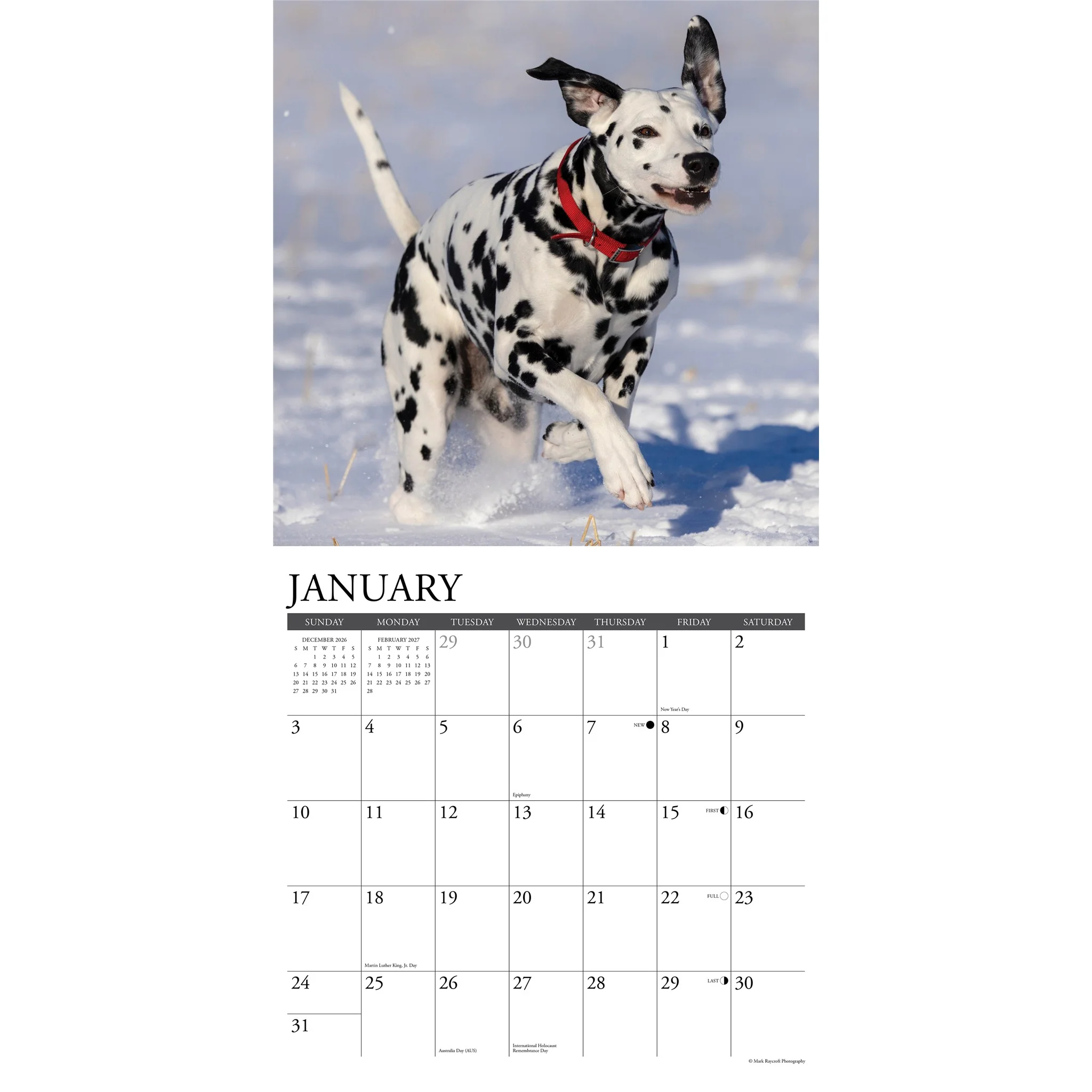 Dalmatians 2027 Wall Calendar - Image 3
