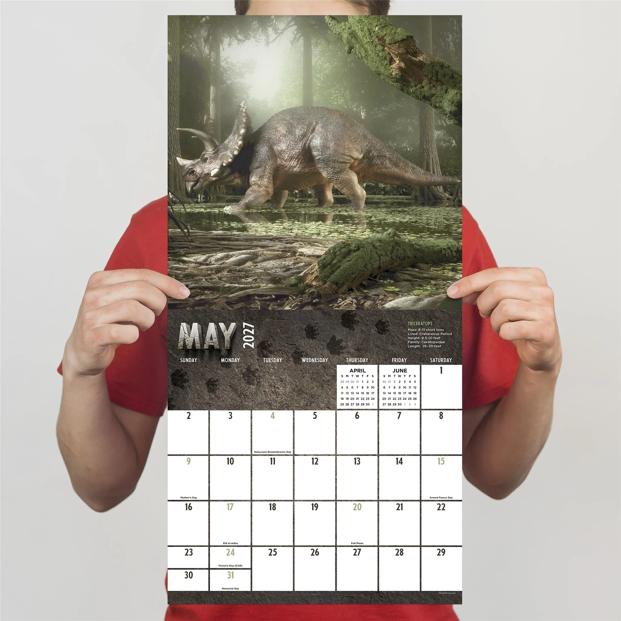 Dinosaurs 2027 Wall Calendar - Image 6