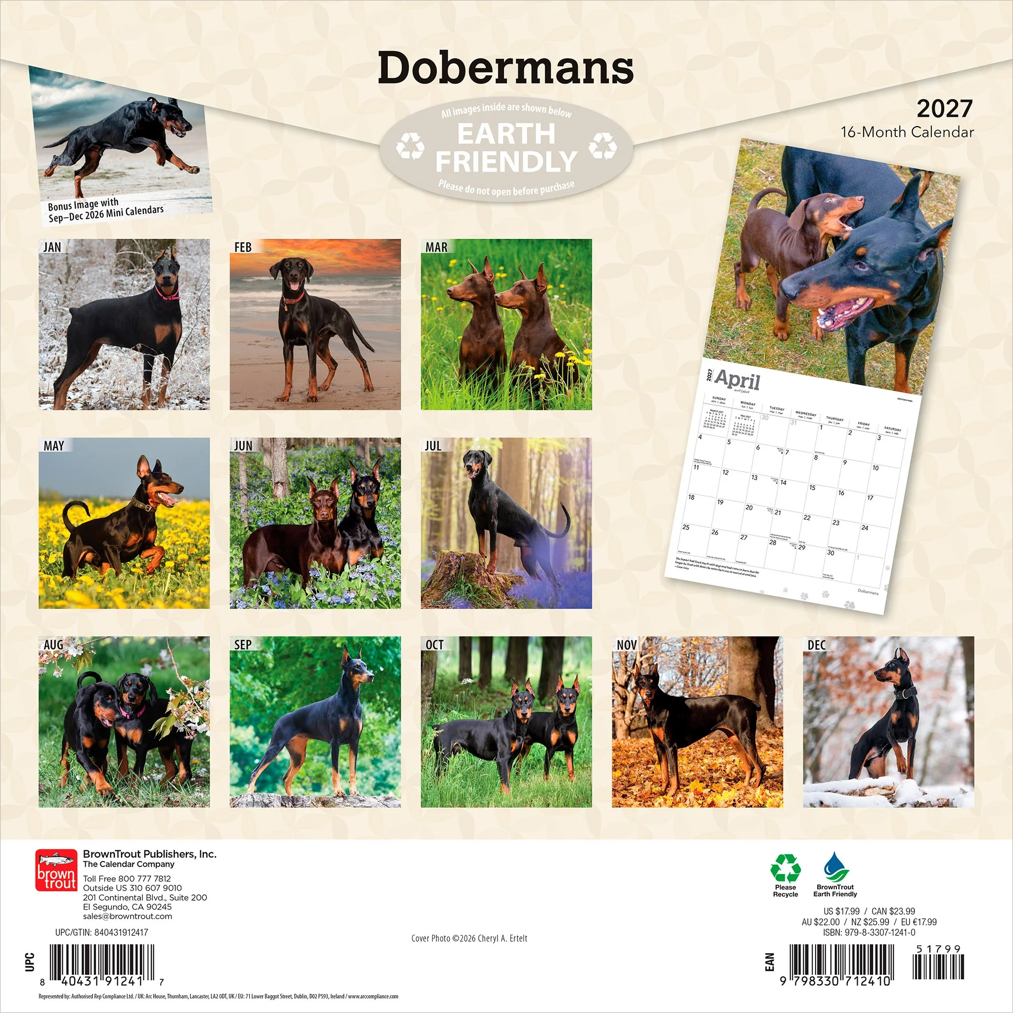 Dobermans 2027 Wall Calendar - Image 2