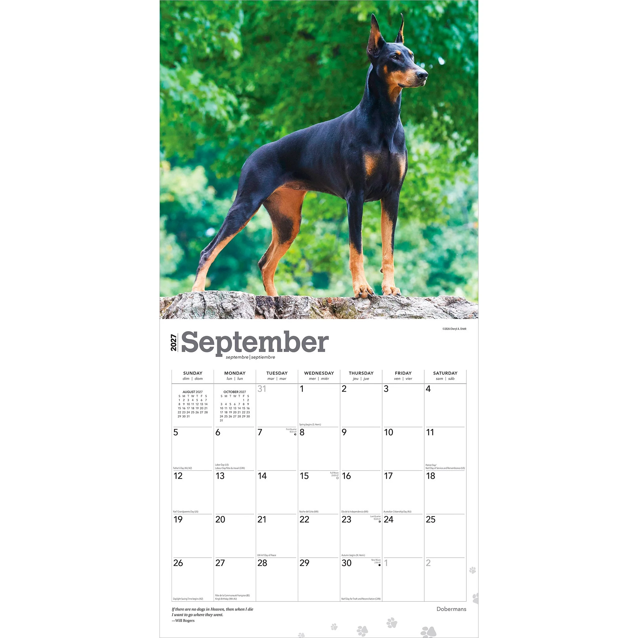 Dobermans 2027 Wall Calendar - Image 4