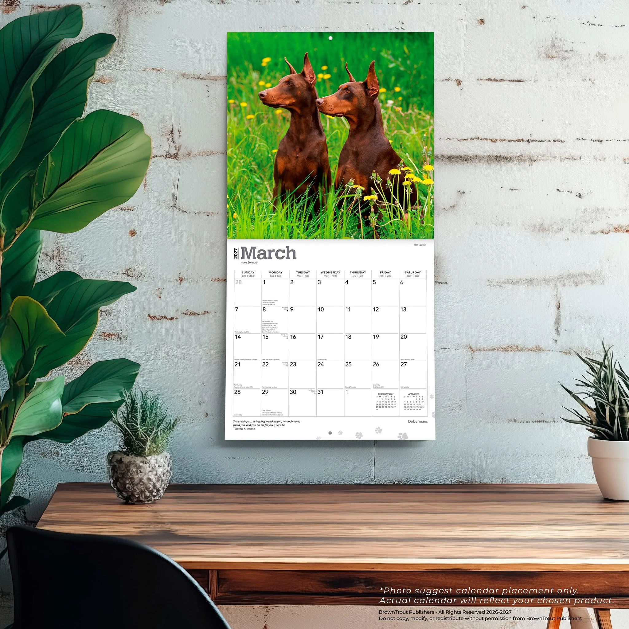 Dobermans 2027 Wall Calendar - Image 5