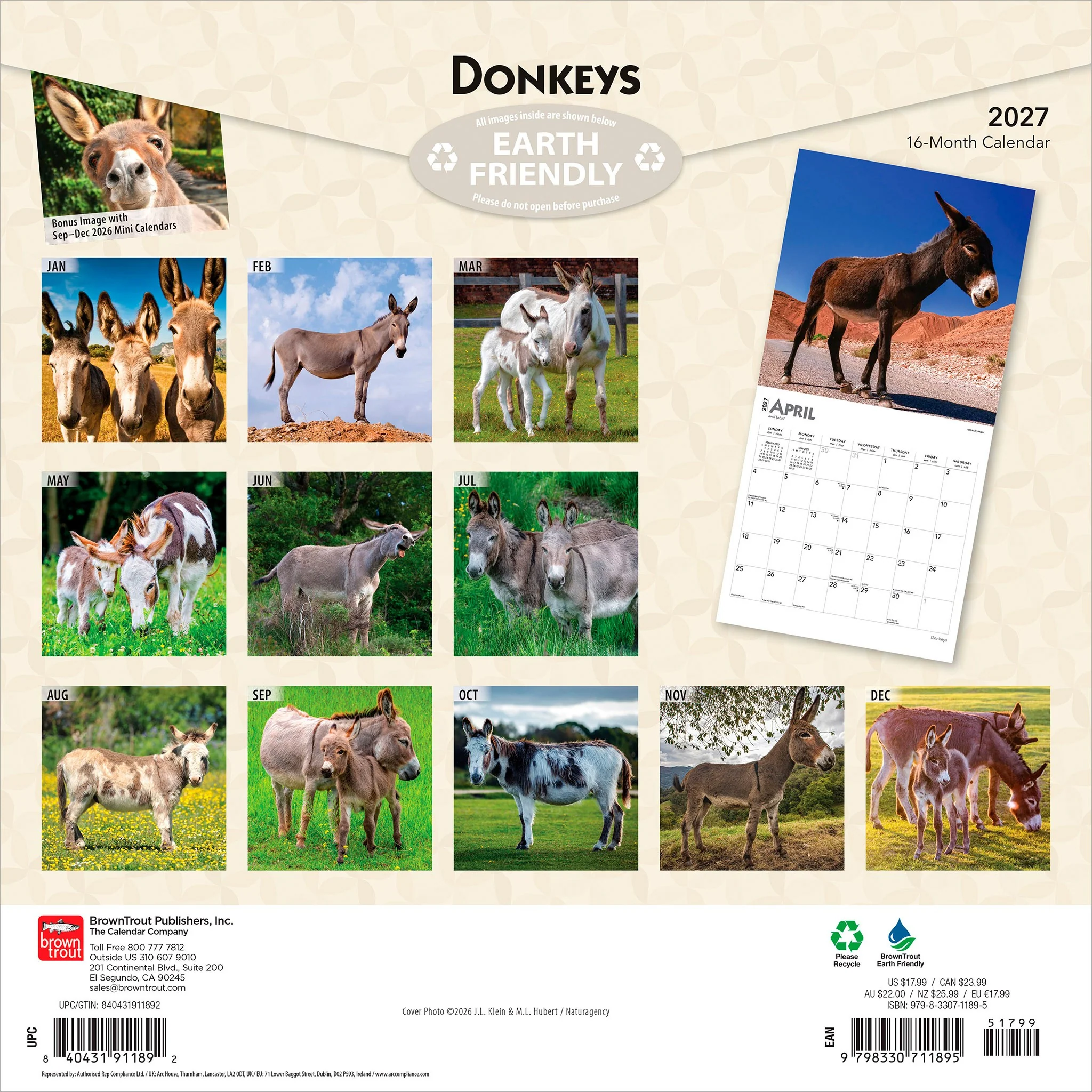 Donkeys 2027 Wall Calendar - Image 2