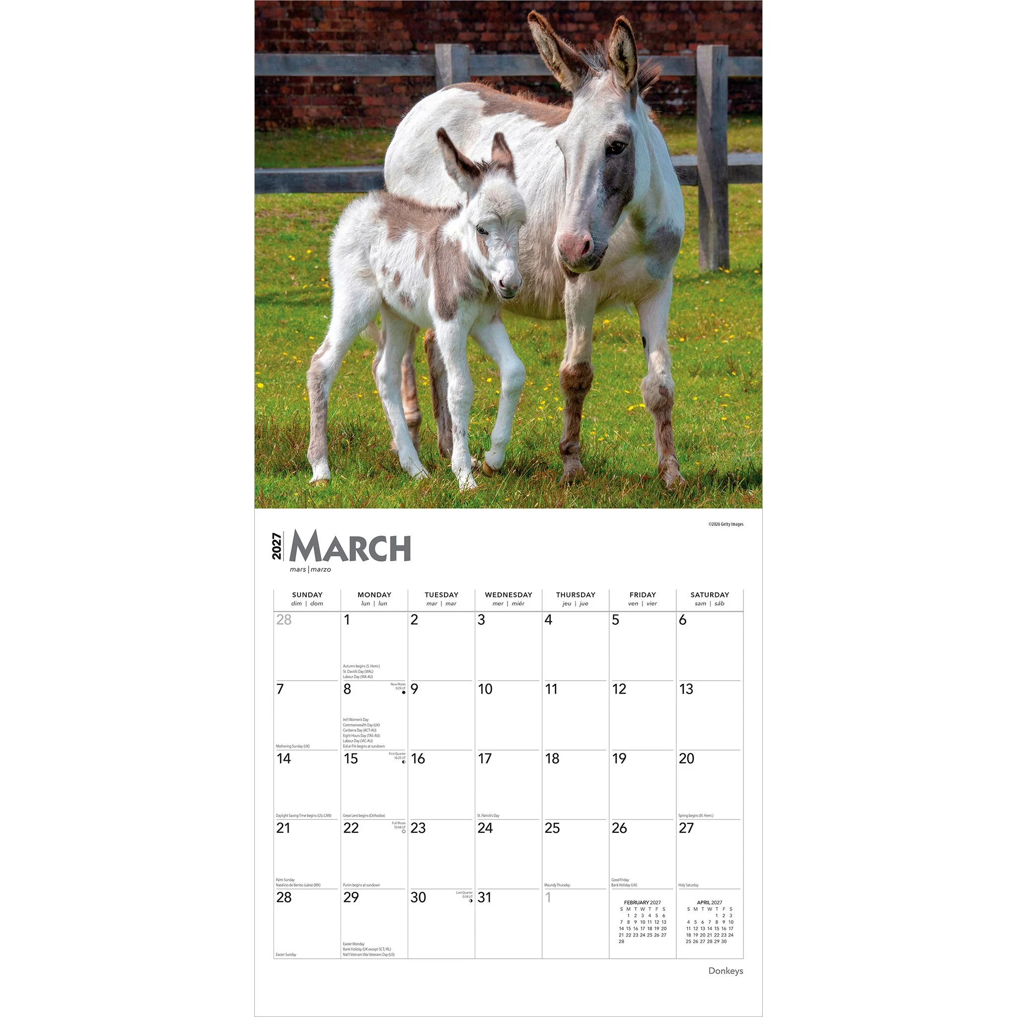 Donkeys 2027 Wall Calendar - Image 3