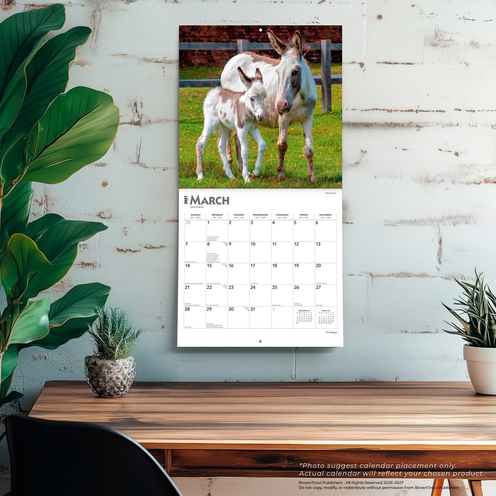 Donkeys 2027 Wall Calendar - Image 5
