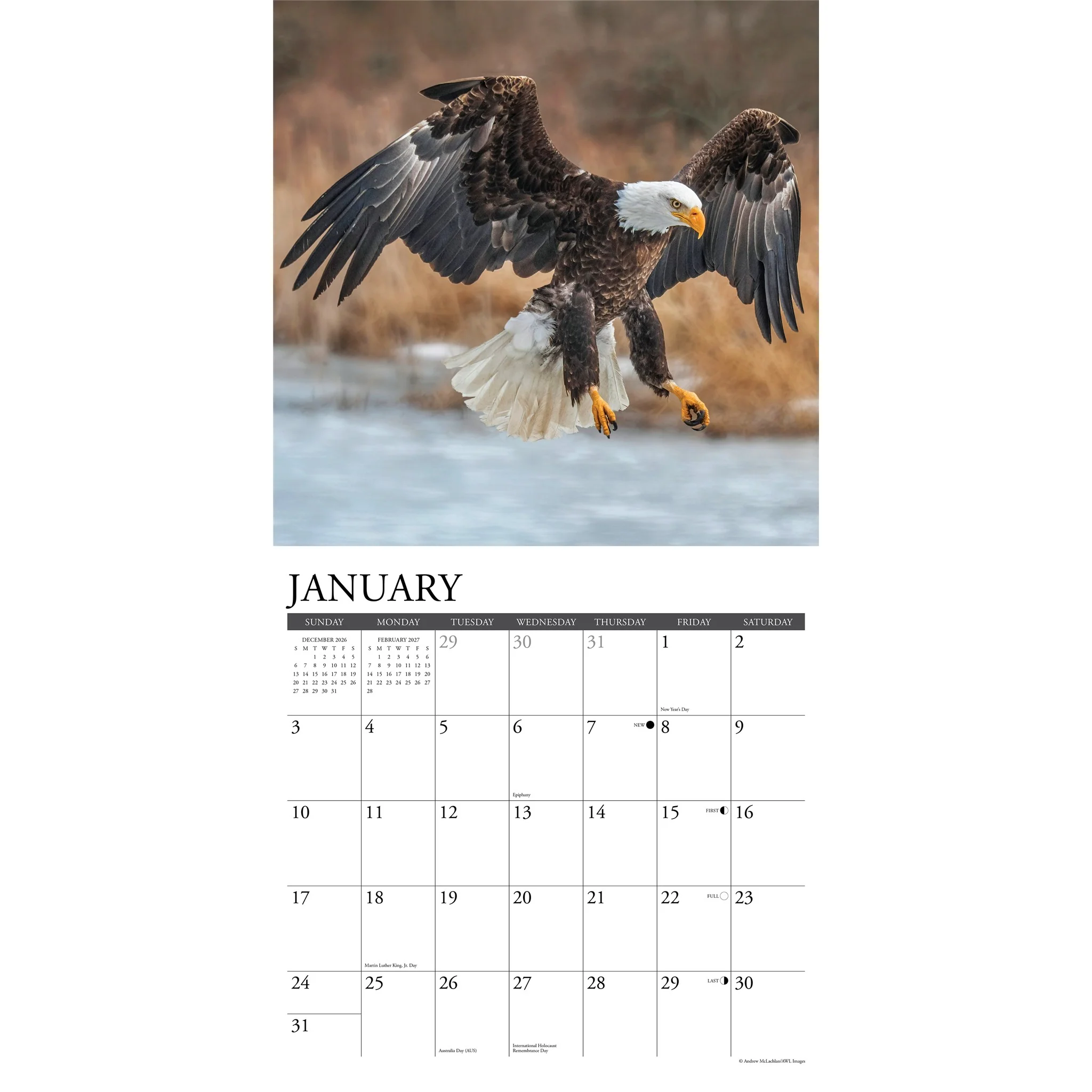 Eagles 2027 Wall Calendar - Online Only - Image 3