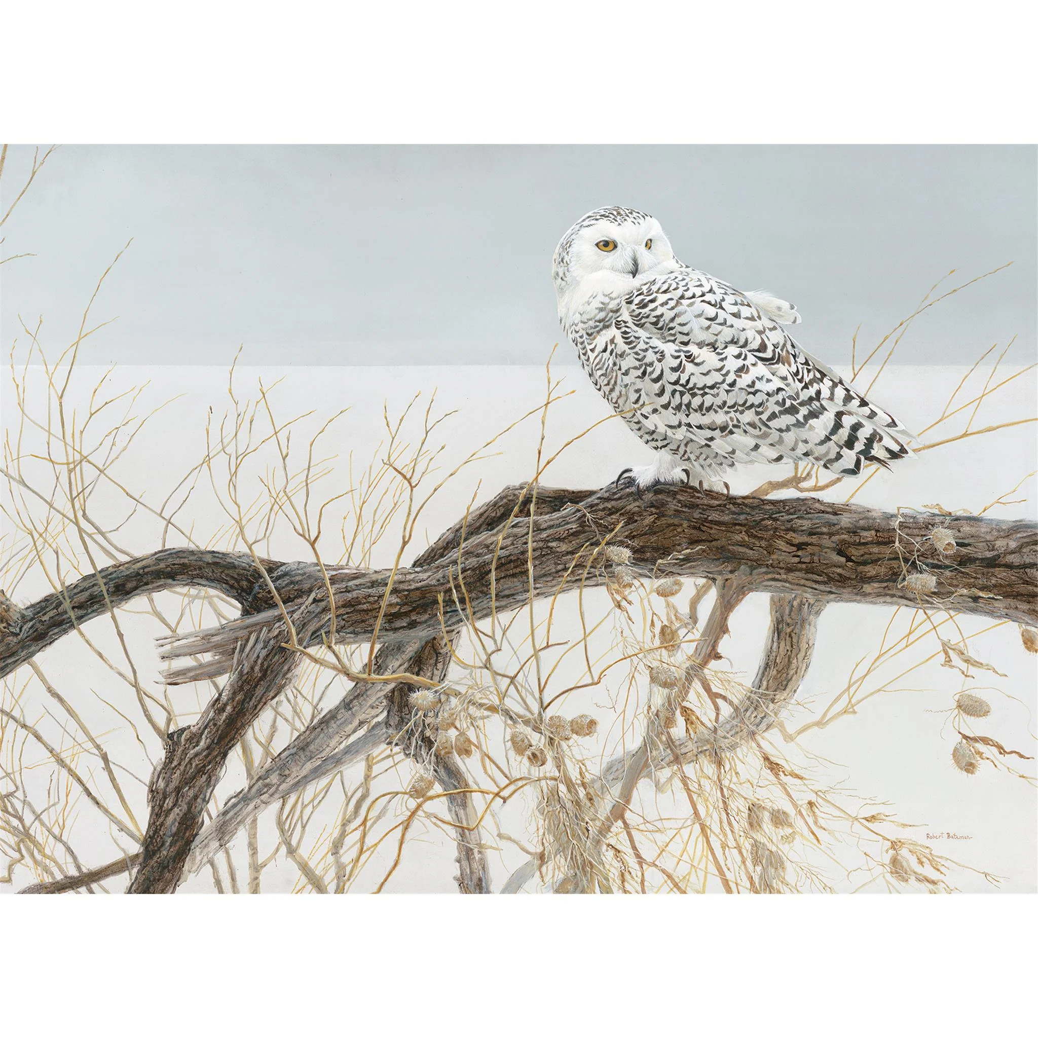 Fallen Willow Snowy Owl 500 Piece Puzzle Cobble Hill - Image 3
