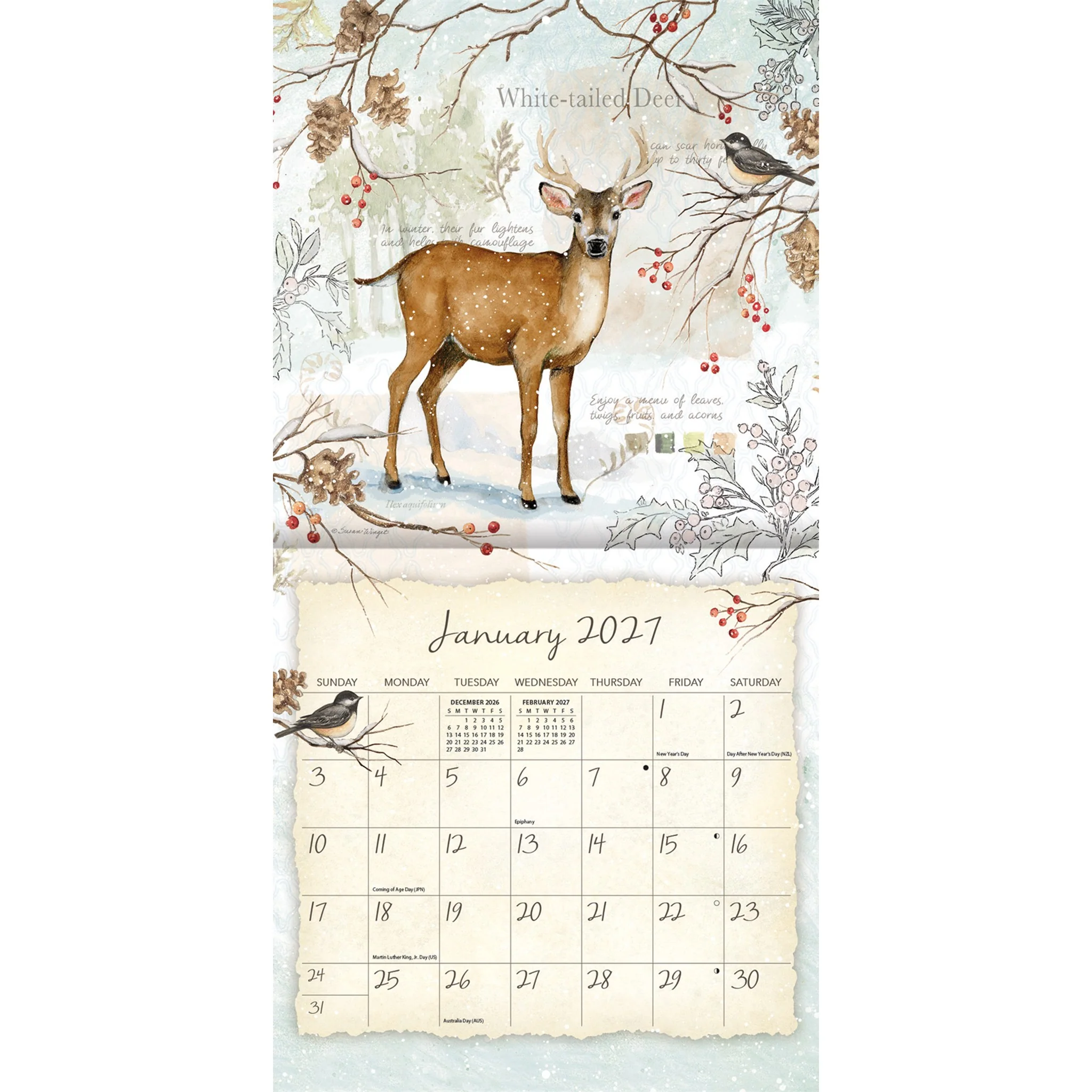 Field Guide 2027 Mini Calendar - Image 3