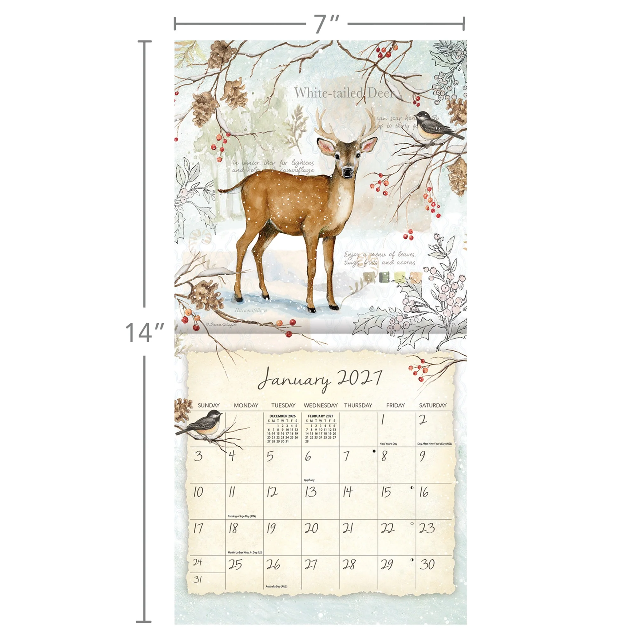 Field Guide 2027 Mini Calendar - Image 4