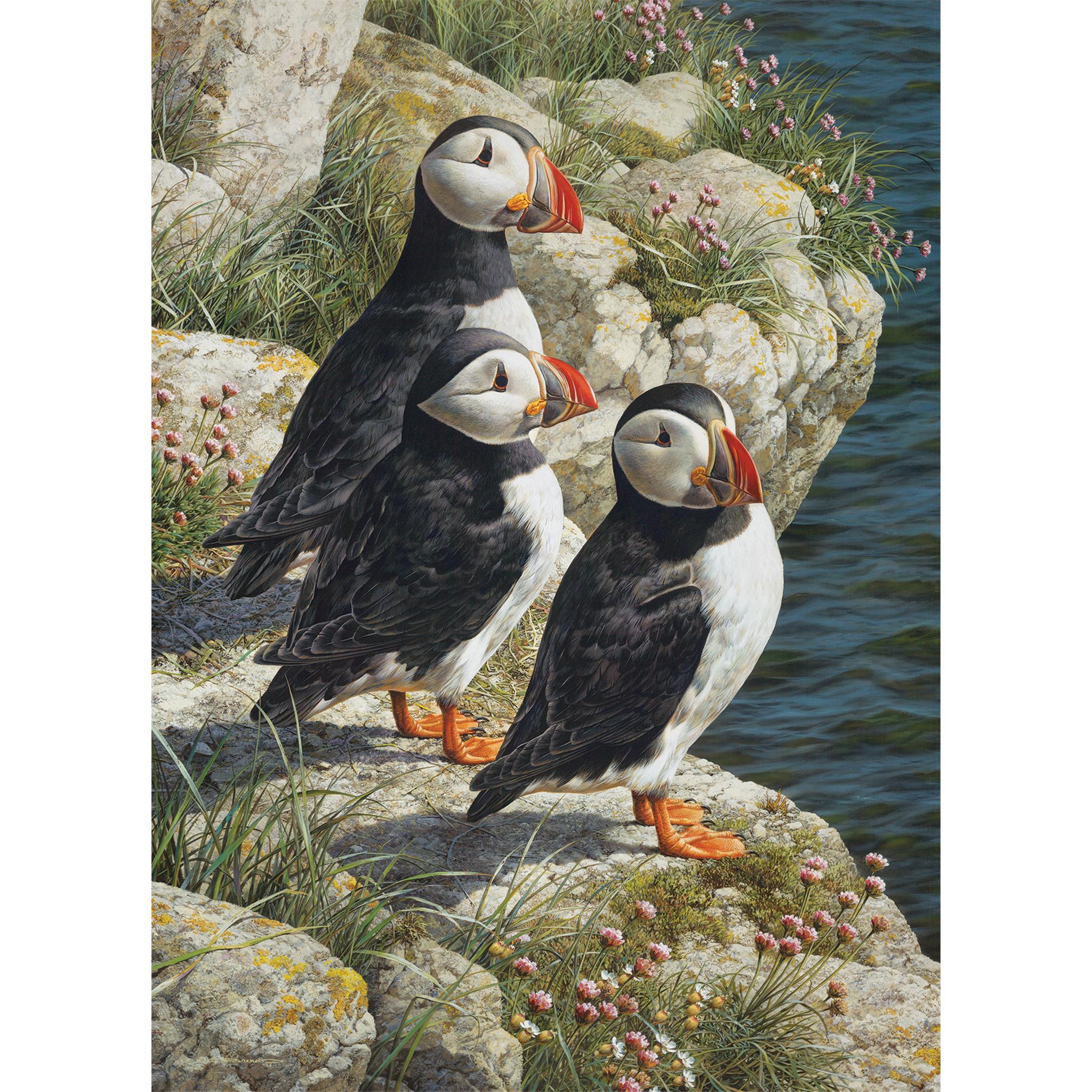 Fisherman's Wharf 500 Piece Puzzle Cobble Hill - Image 3