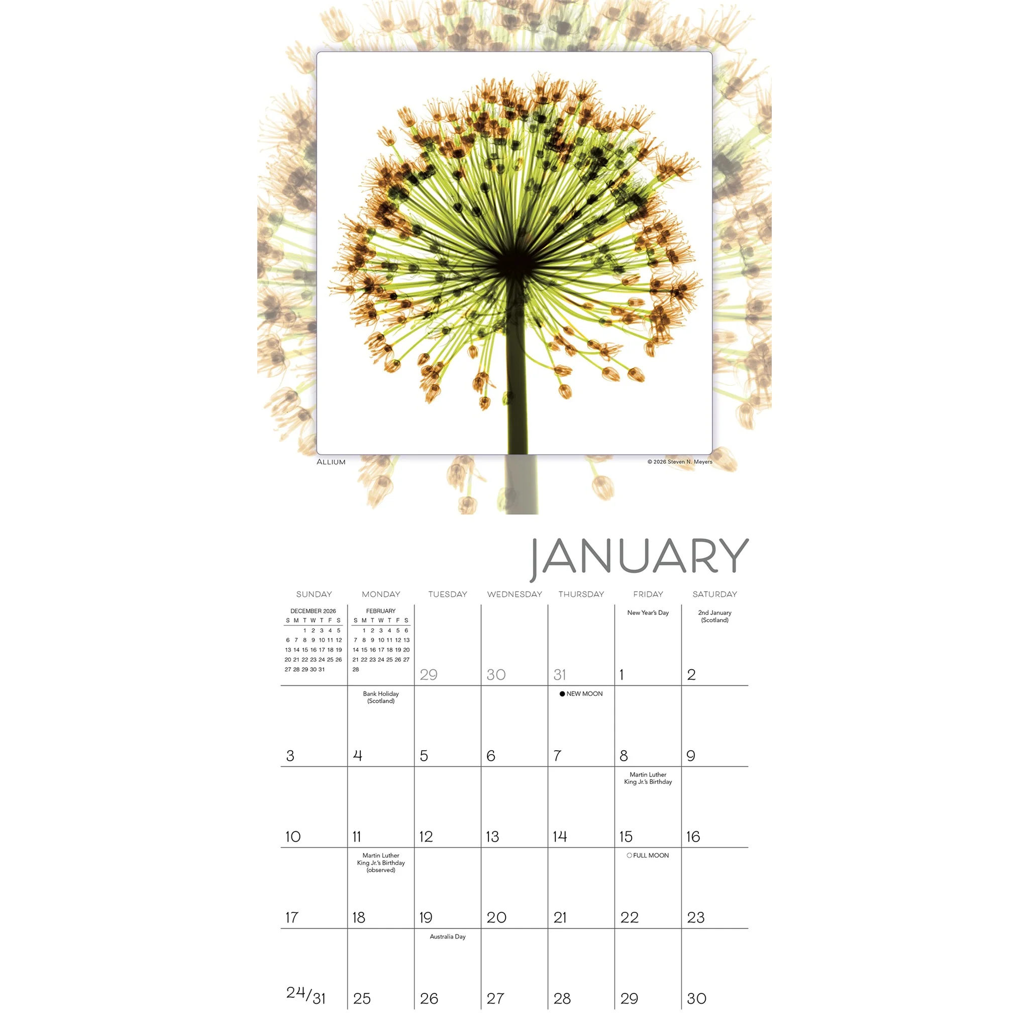 Flower Spirits 2027 Mini Calendar - Image 2