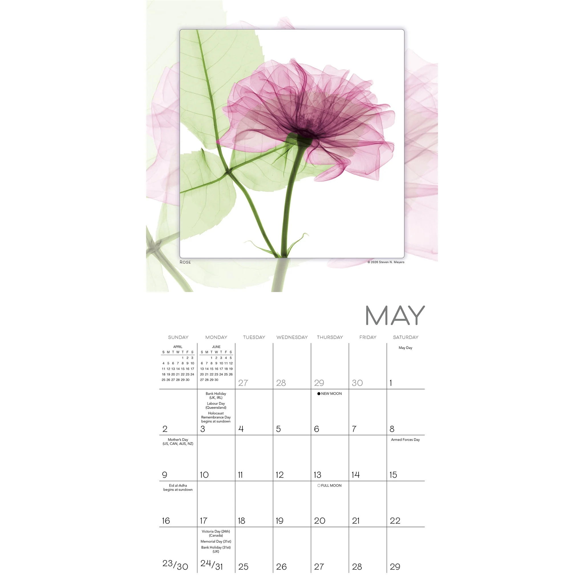 Flower Spirits 2027 Mini Calendar - Image 3