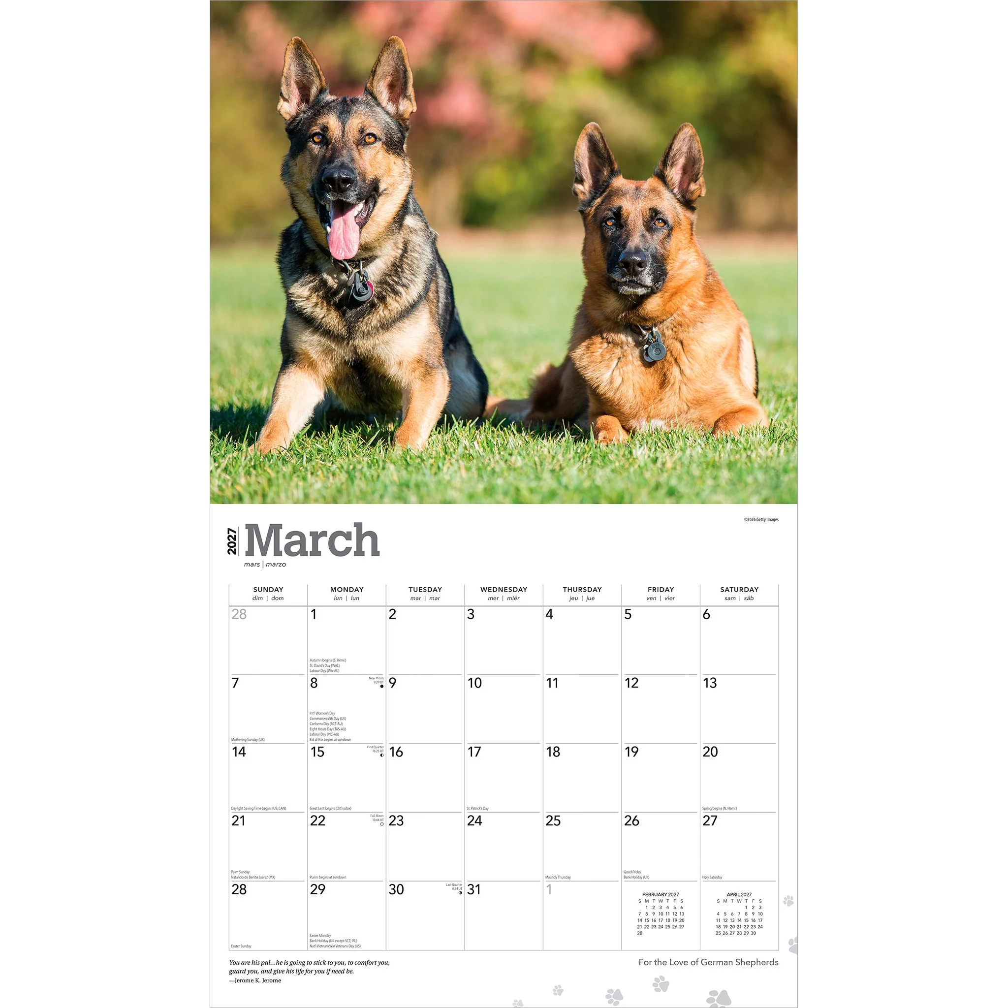 For the Love of German Shepherds 2027 Wall Calendar - Image 3