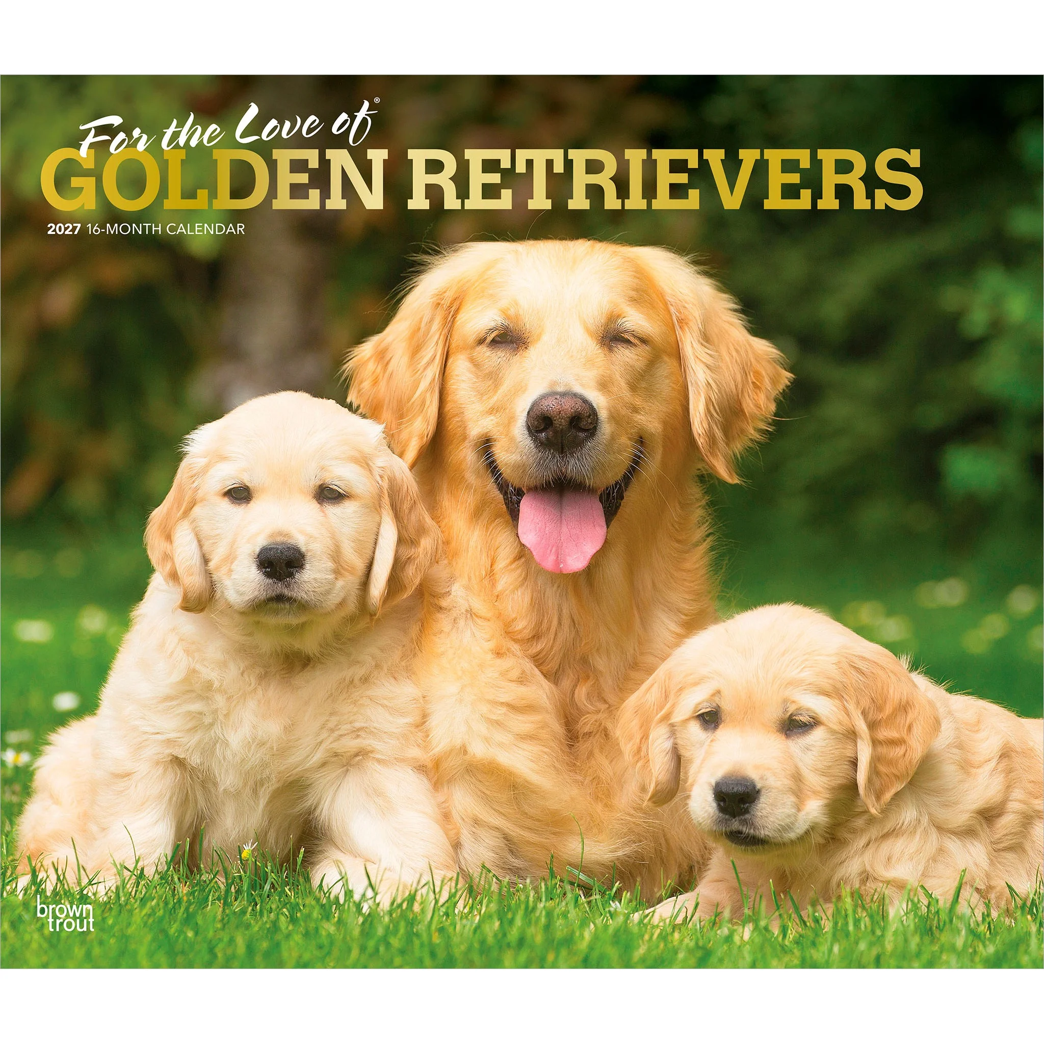 For the Love of Golden Retrievers 2027 Wall Calendar