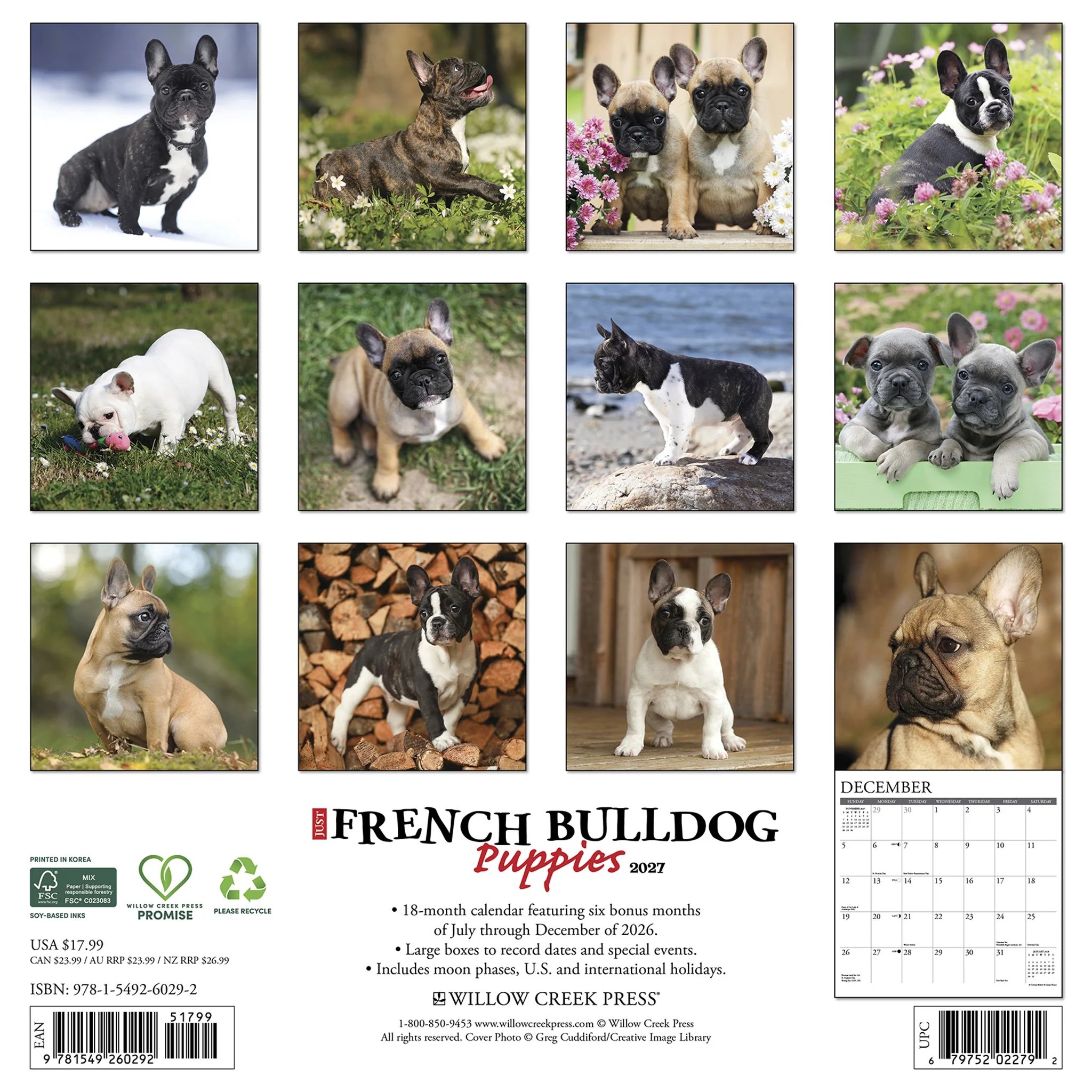 French Bulldog Puppies 2027 Wall Calendar - Image 2