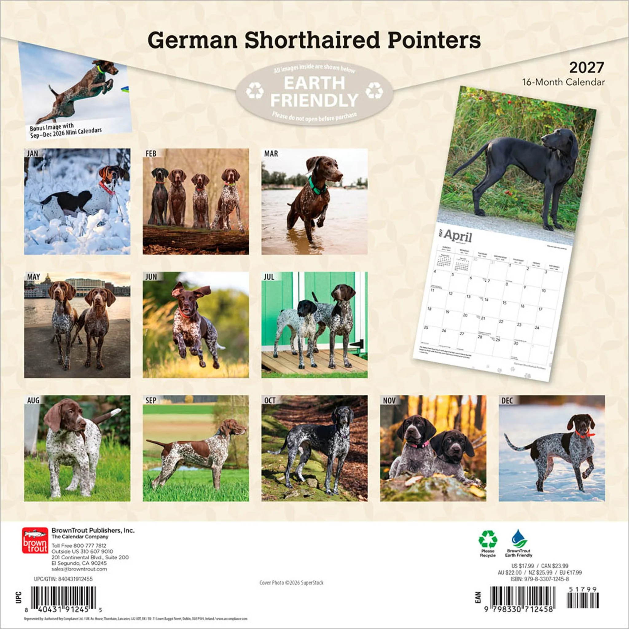 German Shorthaired Pointers 2027 Wall Calendar - Image 2