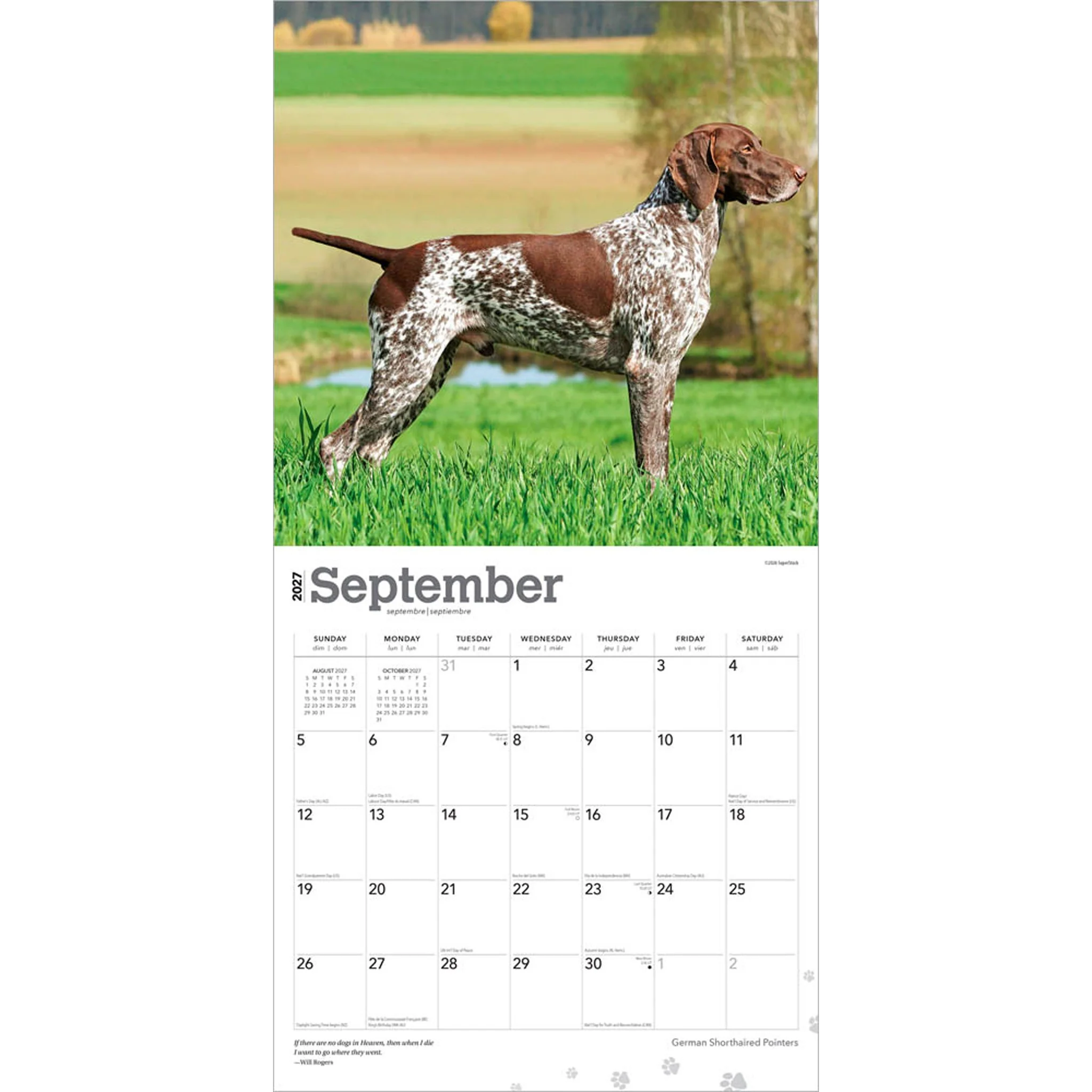 German Shorthaired Pointers 2027 Wall Calendar - Image 4